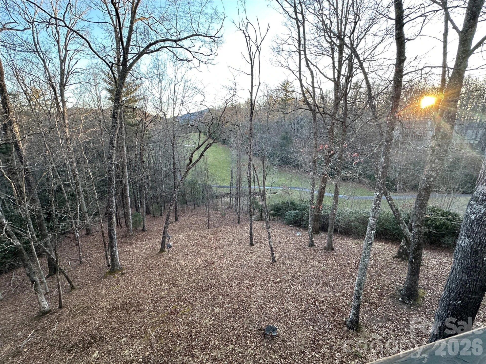 94 Blackberry Trail - Photo 4