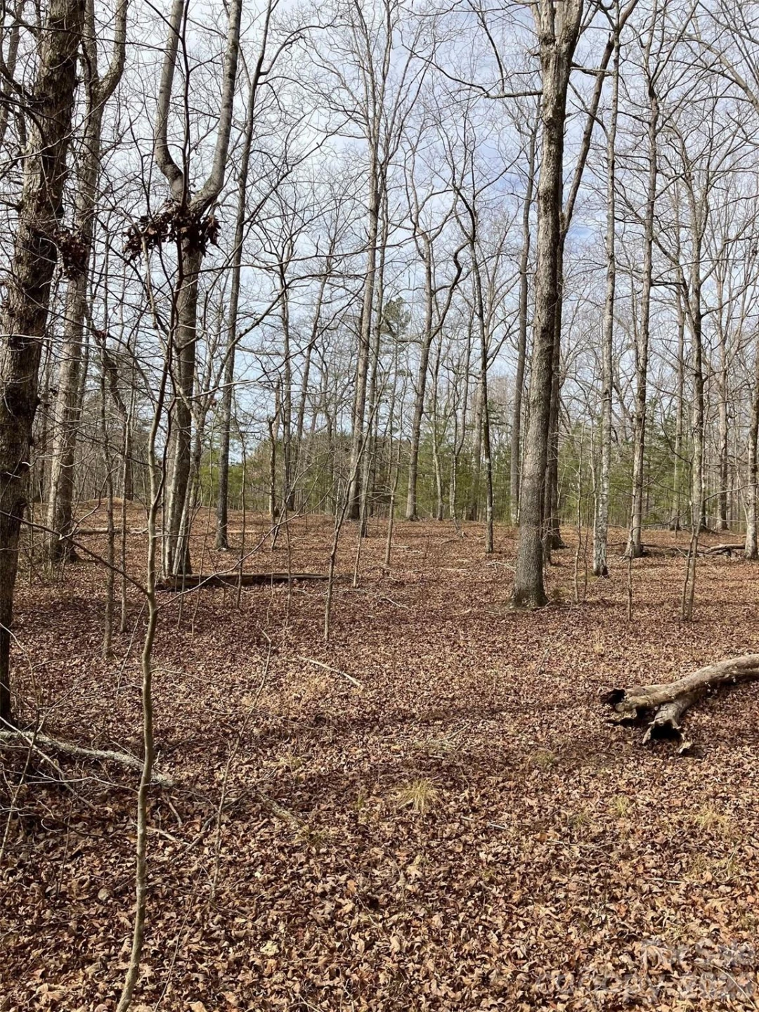 Lot 7A Springbrook Court