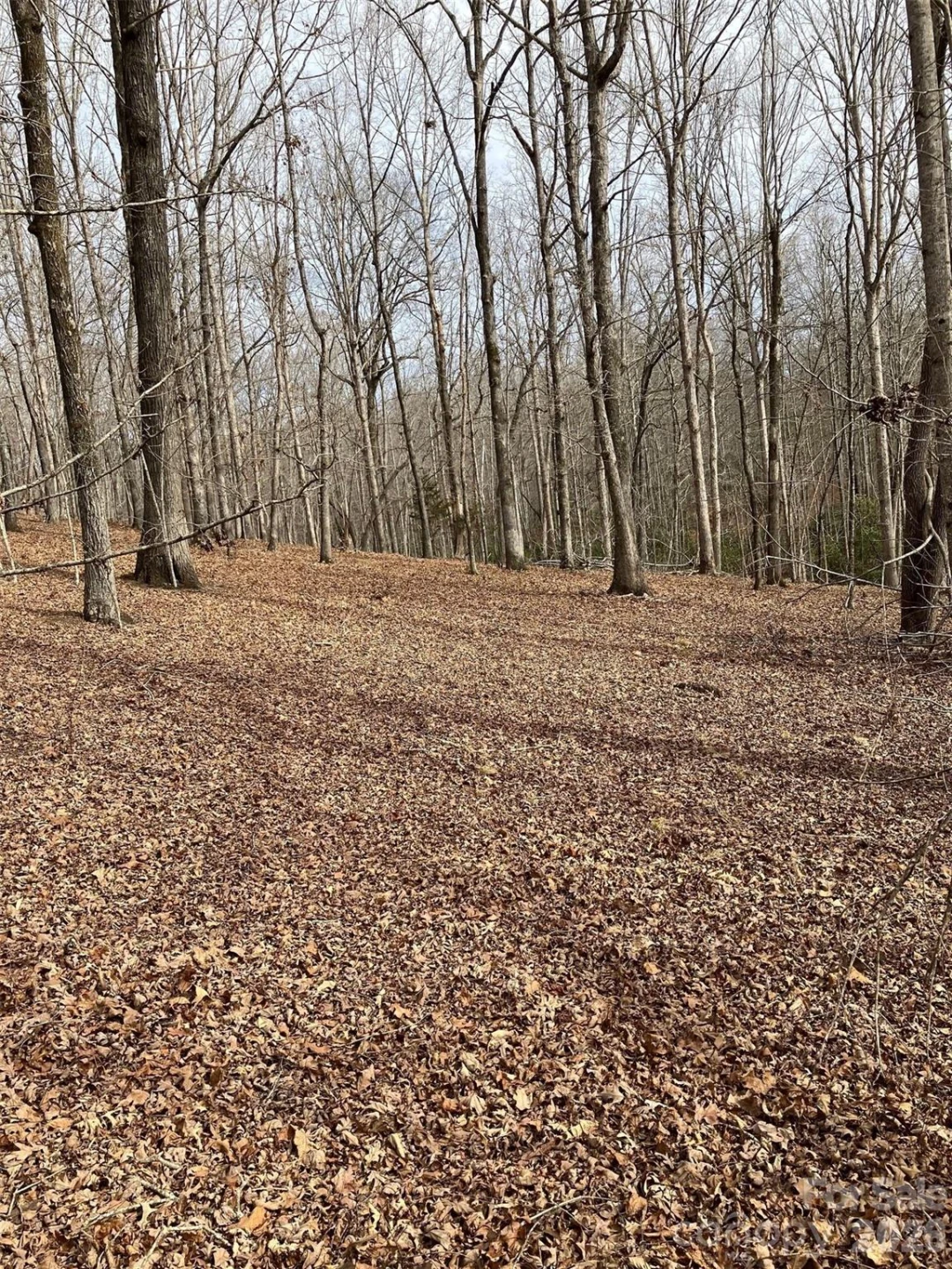 Lot 7A Springbrook Court - Photo 2