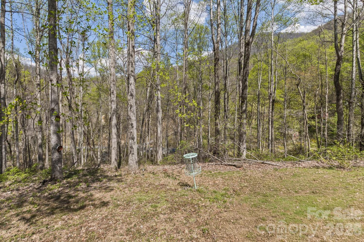 53 Benfield Road - Photo 40