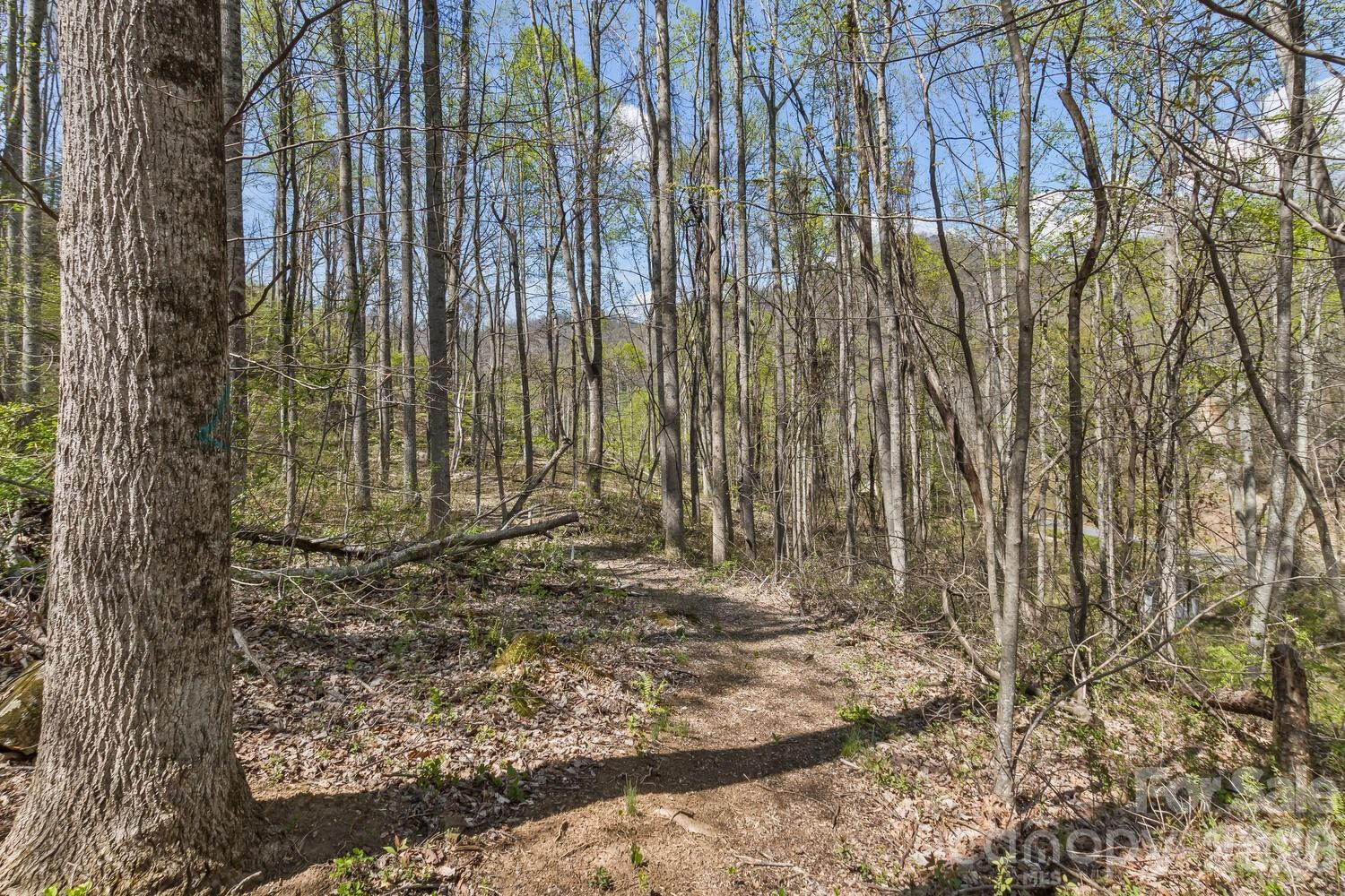 53 Benfield Road - Photo 44