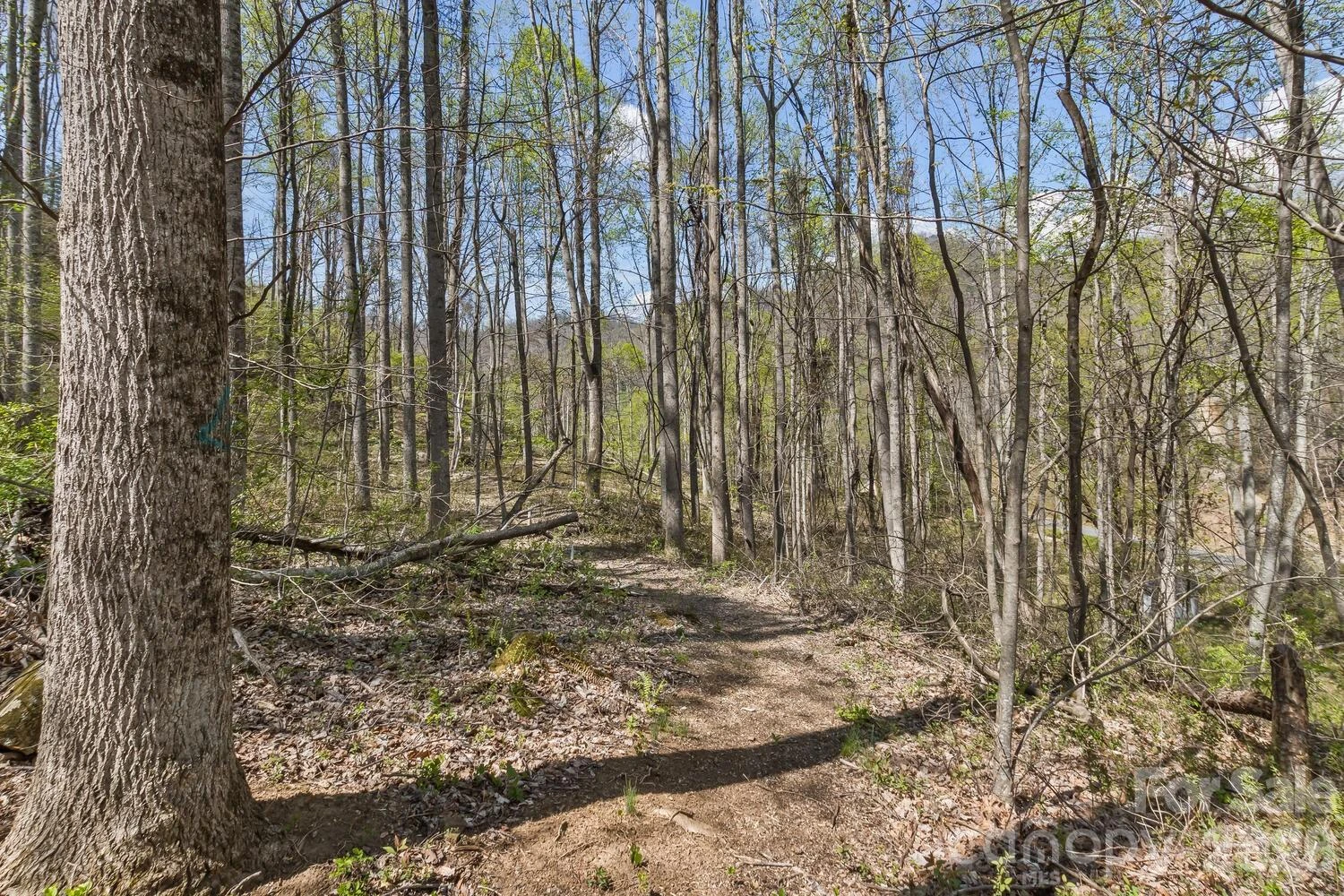 53 Benfield Road - Photo 44