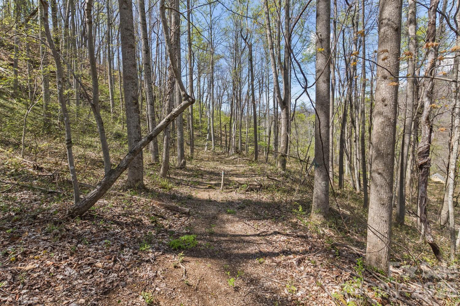 53 Benfield Road - Photo 45