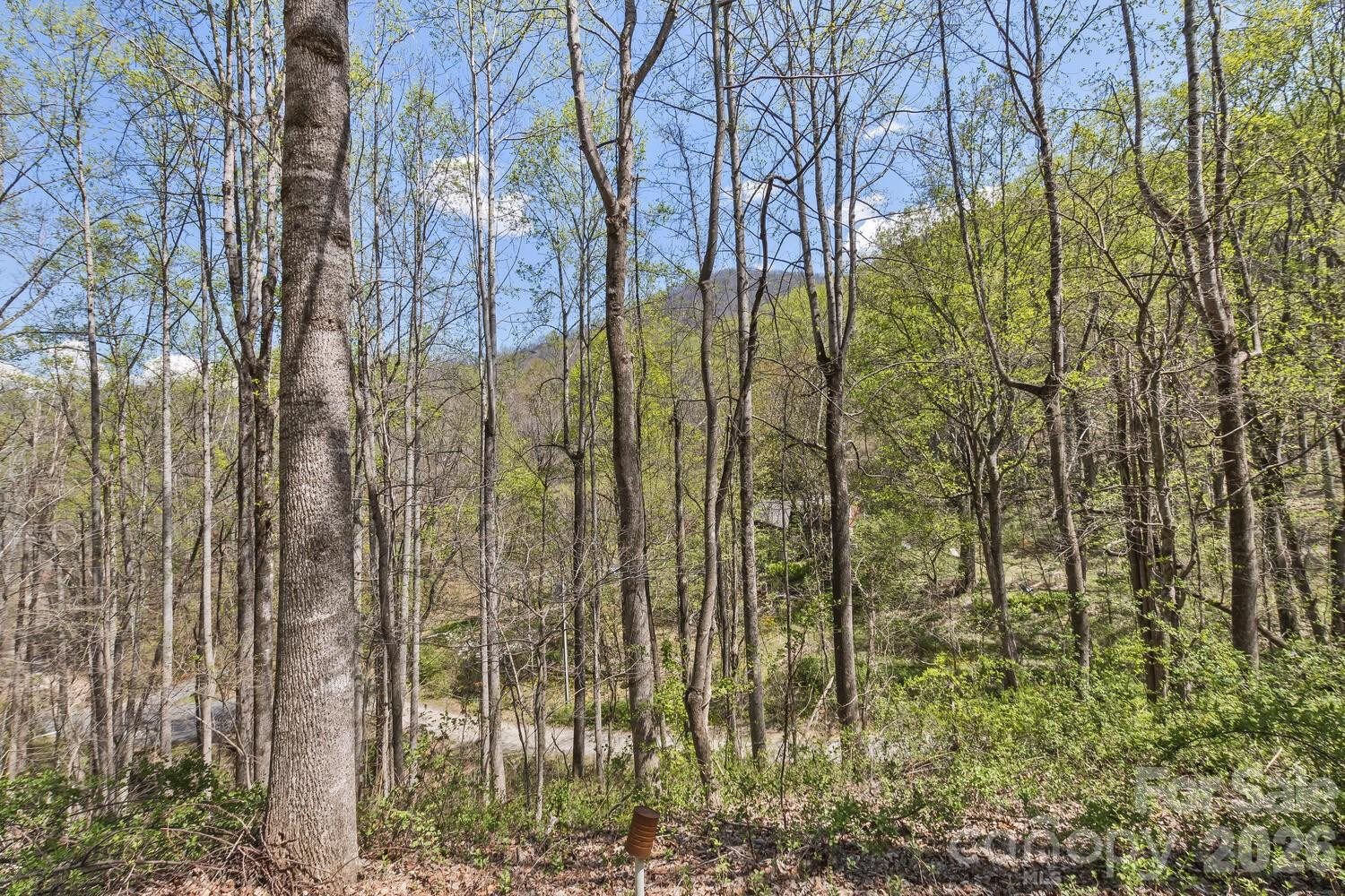 53 Benfield Road - Photo 46