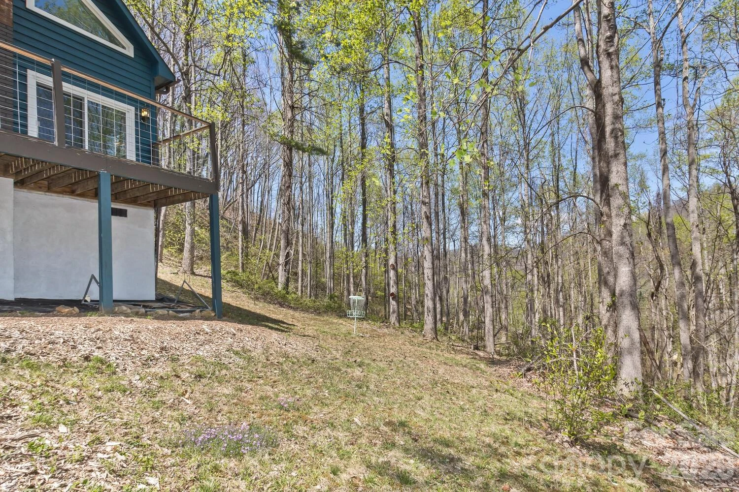 53 Benfield Road - Photo 6