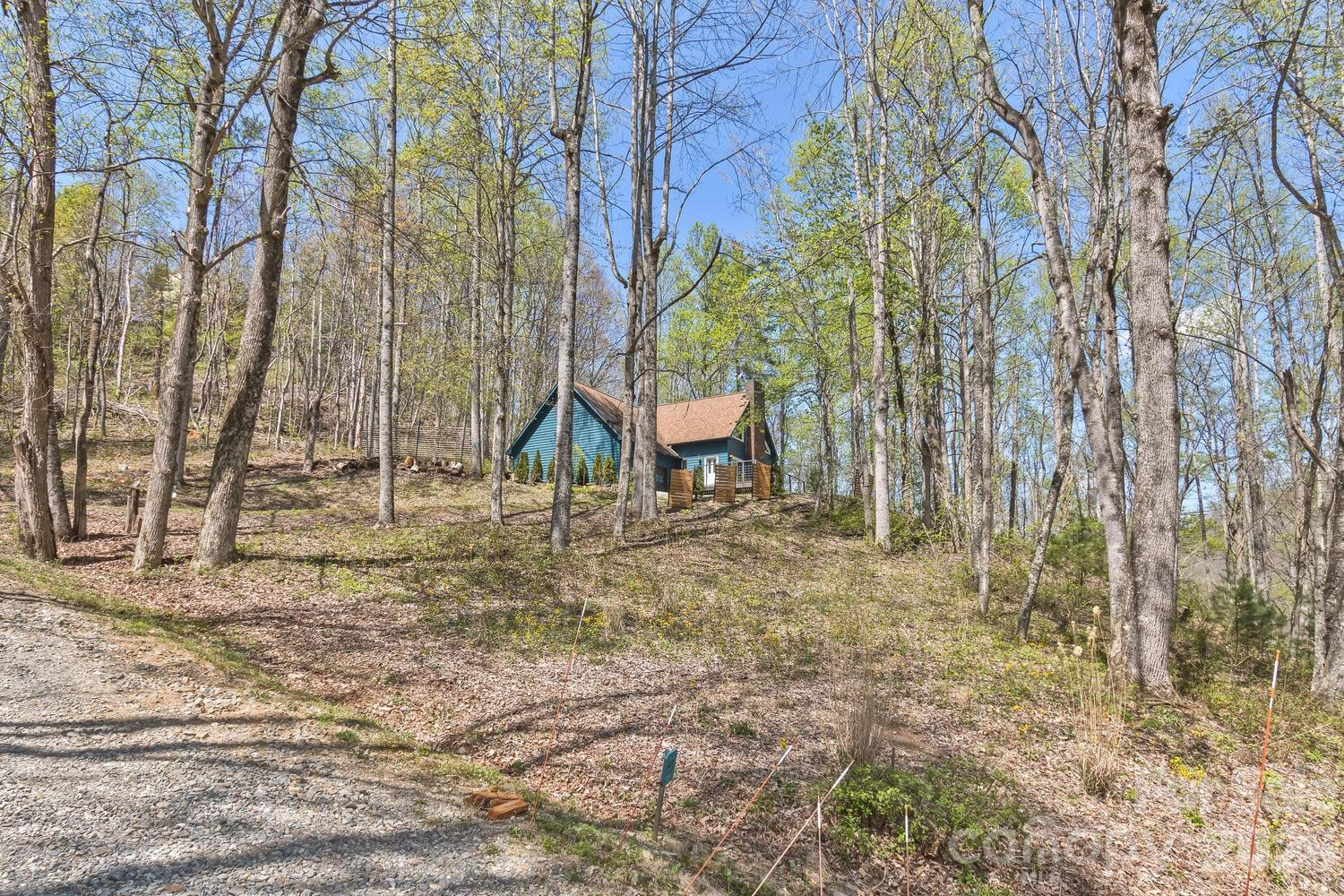 53 Benfield Road - Photo 7