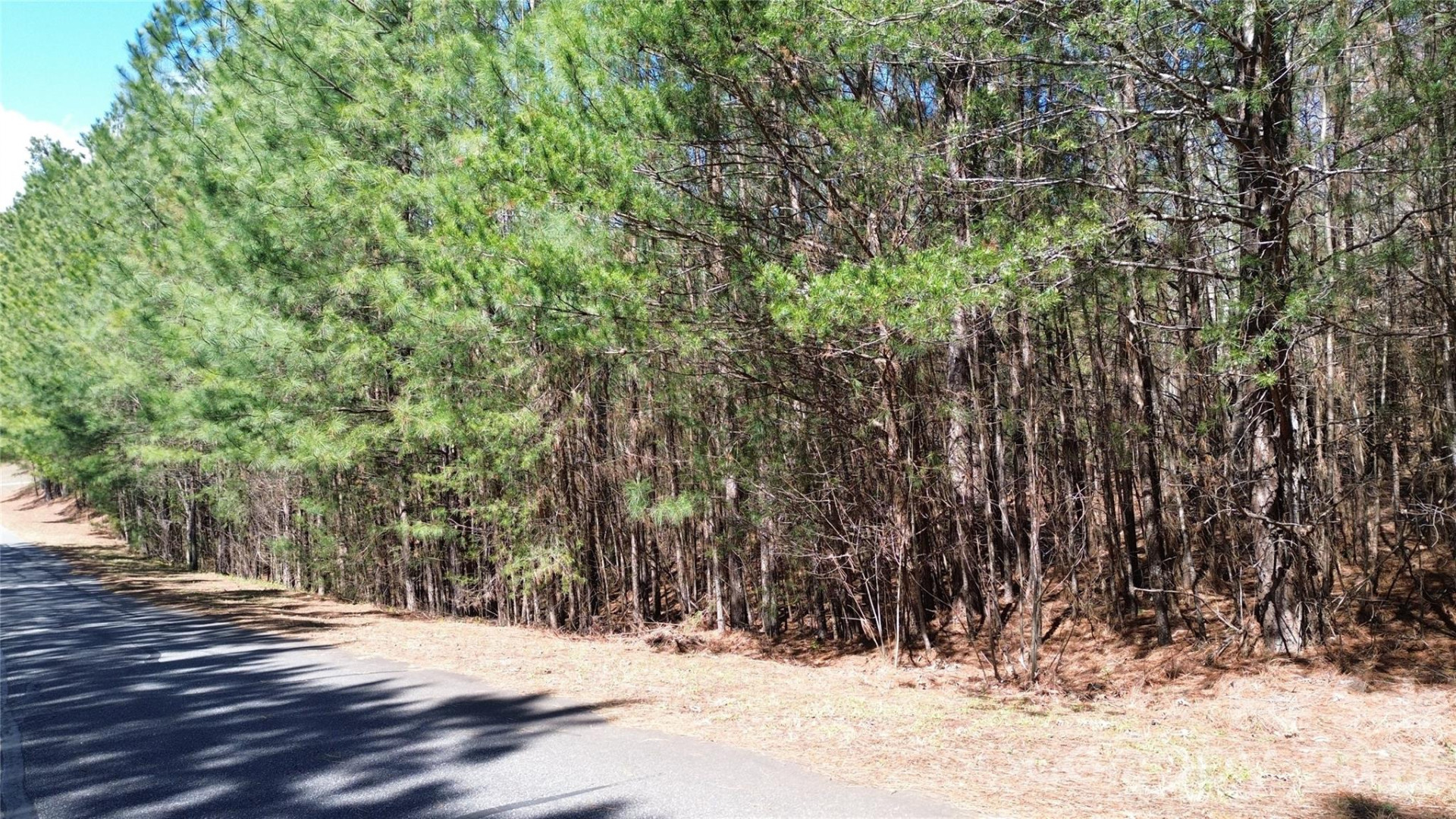 0 Chocolate Drop Circle #154 - Photo 3