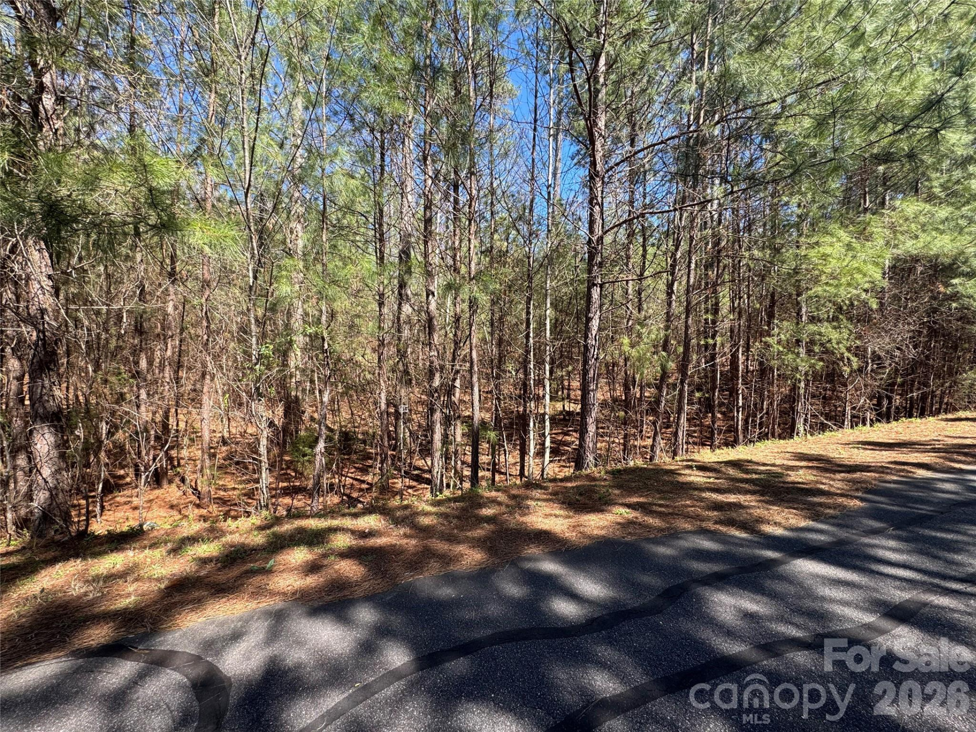 0 Chocolate Drop Circle #154 - Photo 4