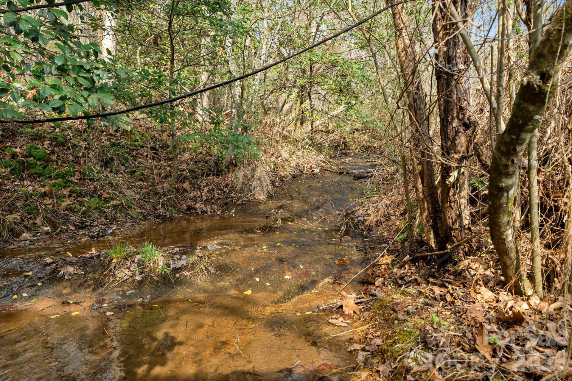 5005 Rocky Ridge Road - Photo 22