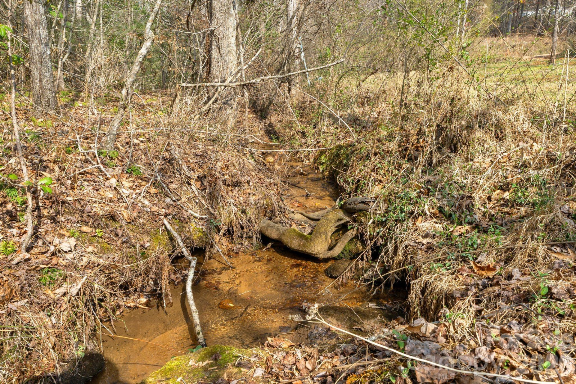 5005 Rocky Ridge Road - Photo 23