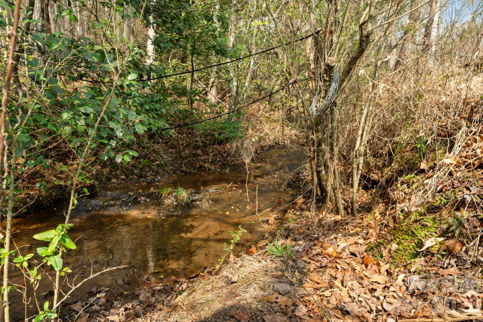 5005 Rocky Ridge Road - Photo 24