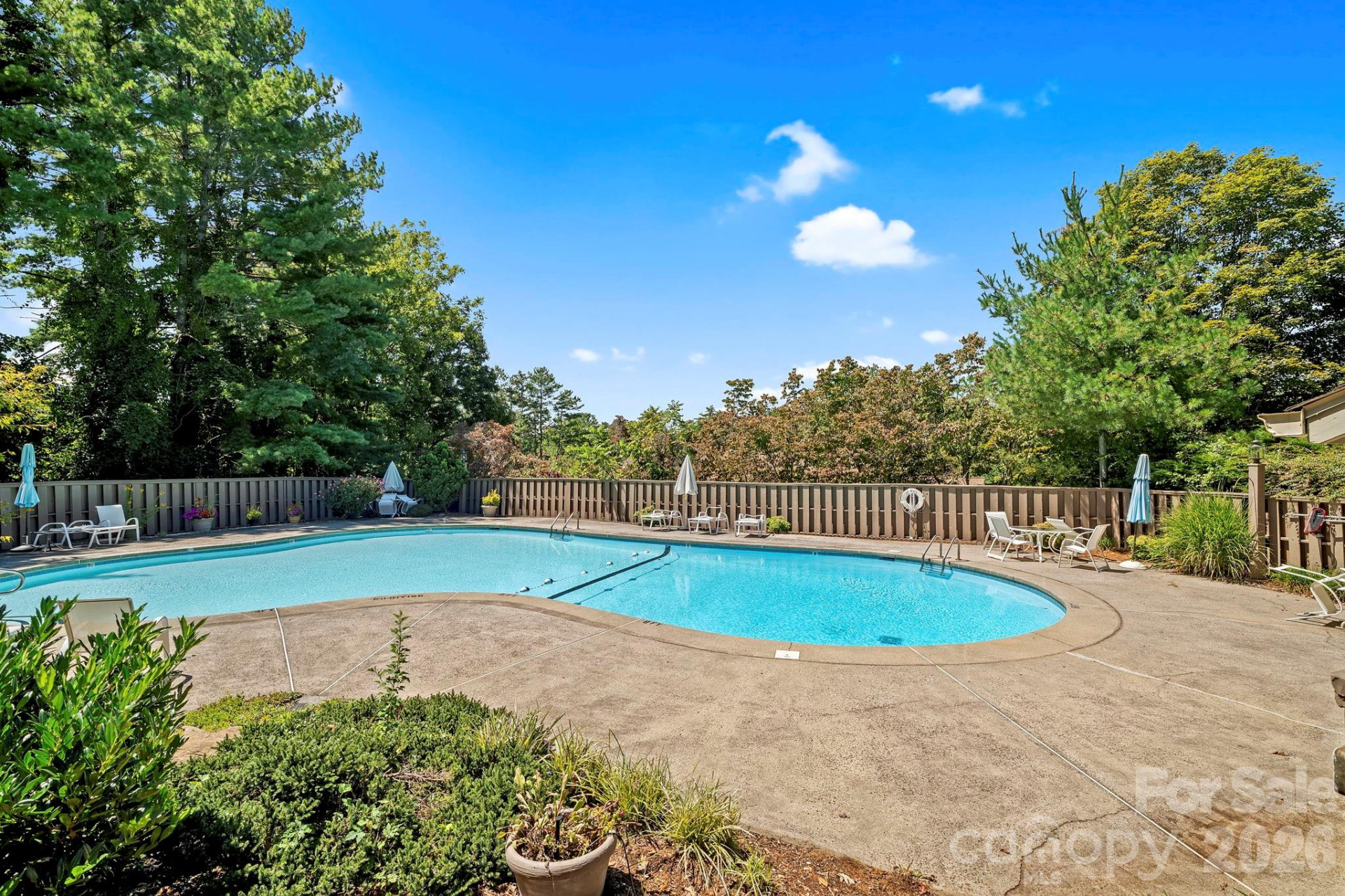 101 Deerlake Drive - Photo 3