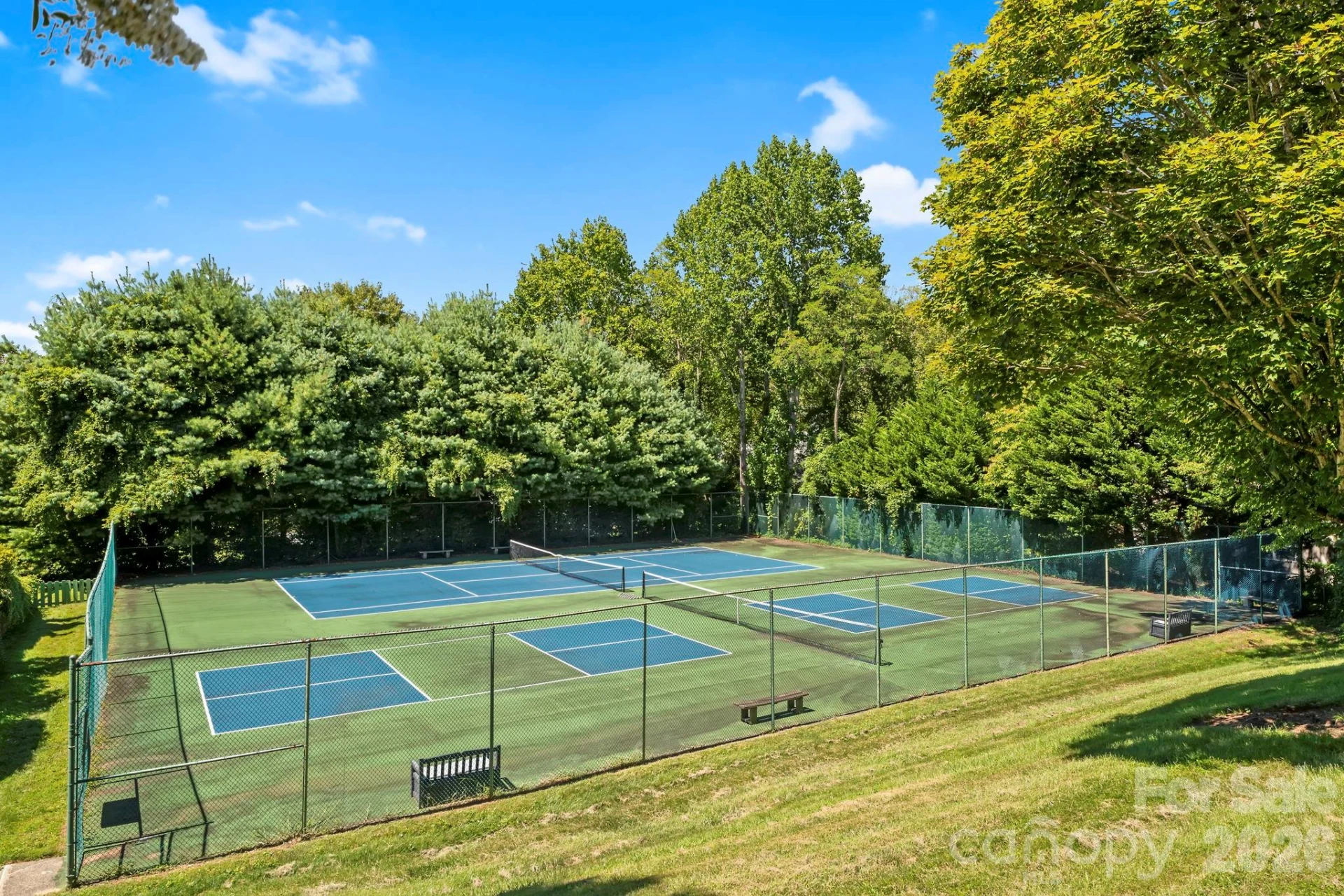 101 Deerlake Drive - Photo 4