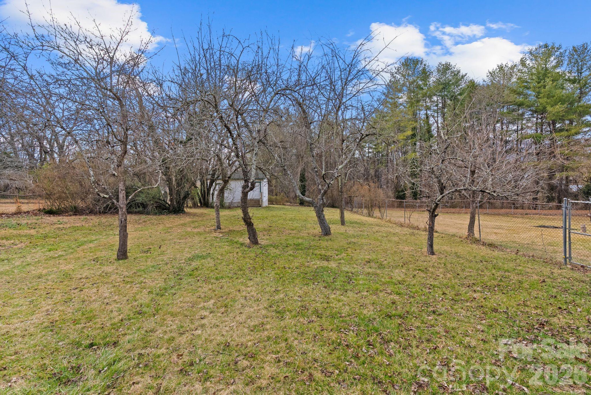 271 Pisgah View Road - Photo 31