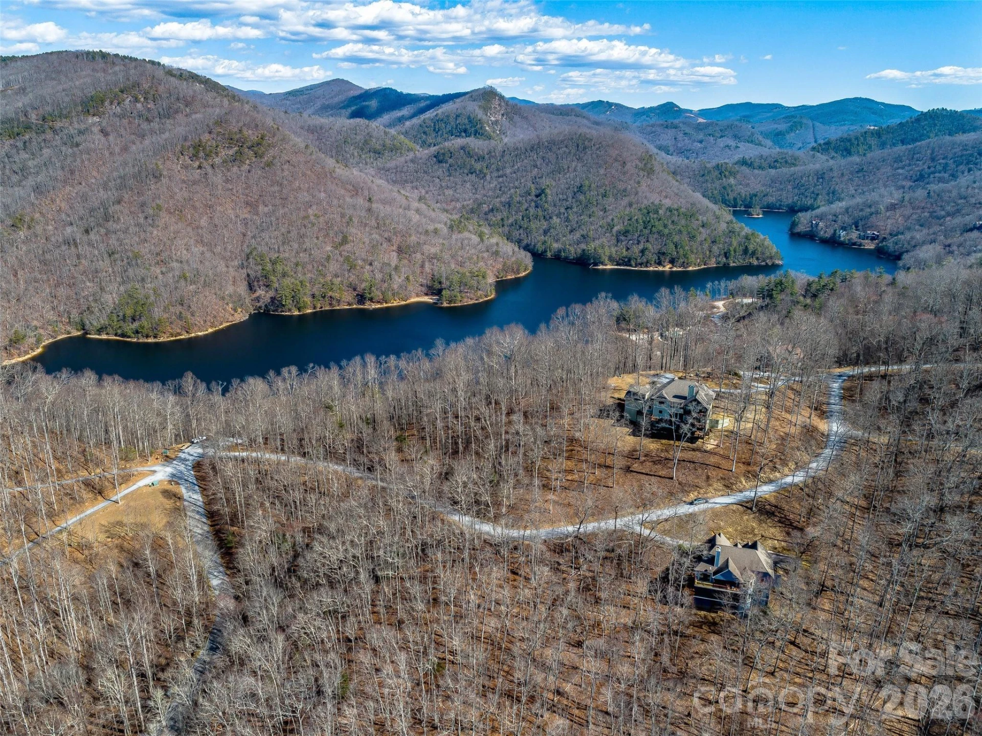 130 Cross Vine Drive - Photo 4