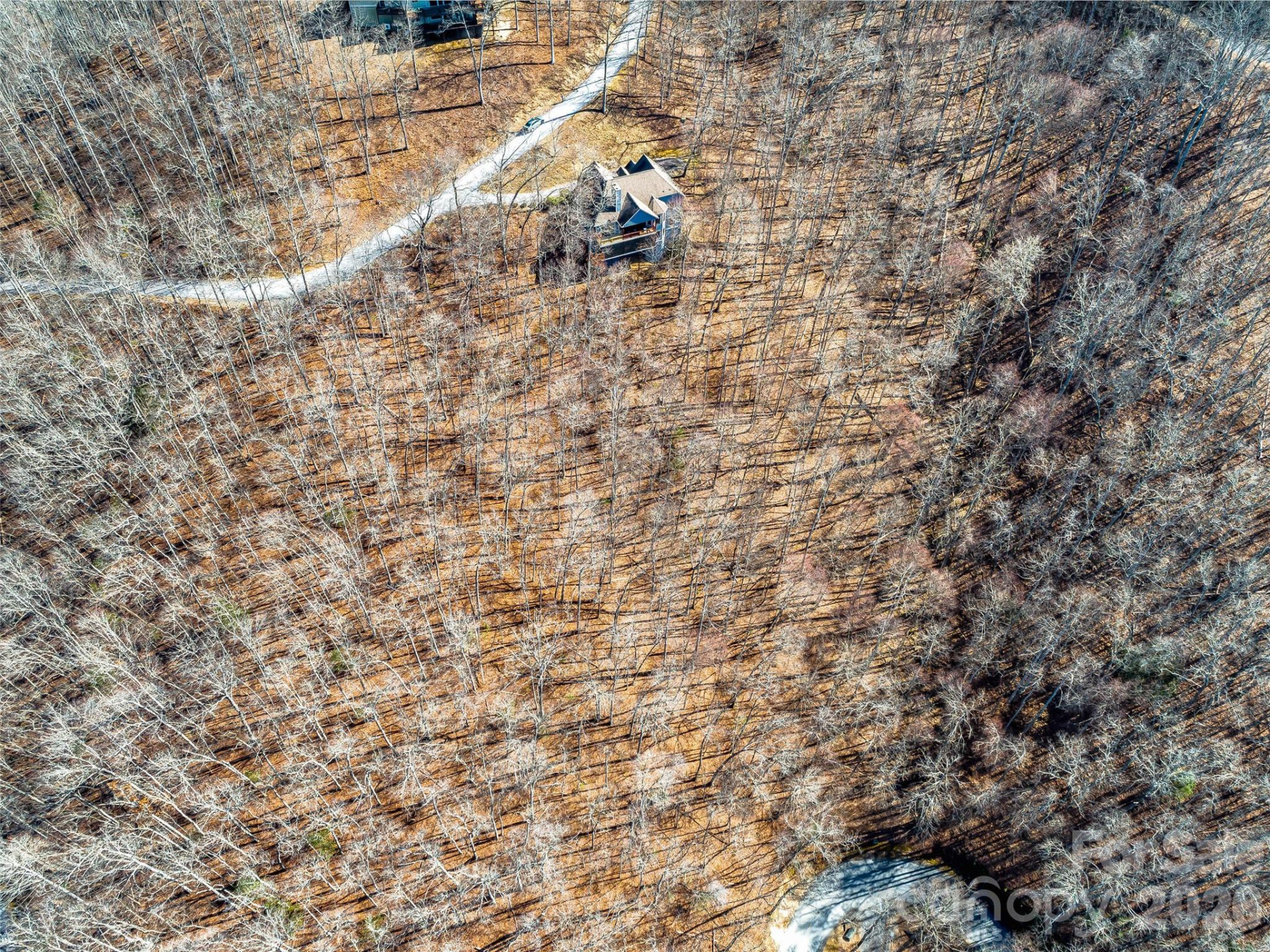 130 Cross Vine Drive - Photo 43