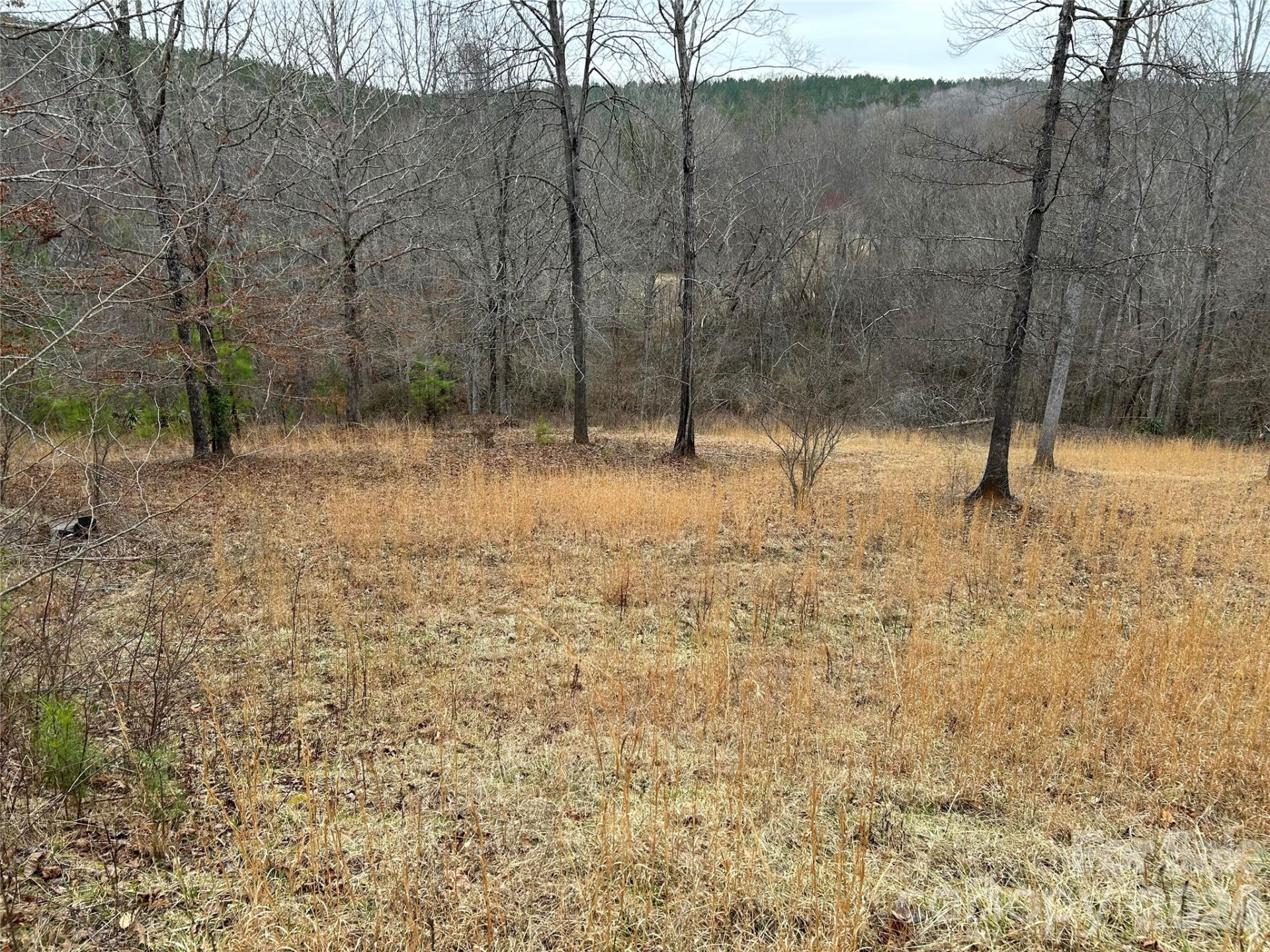 322 Balmy Lane - Photo 2