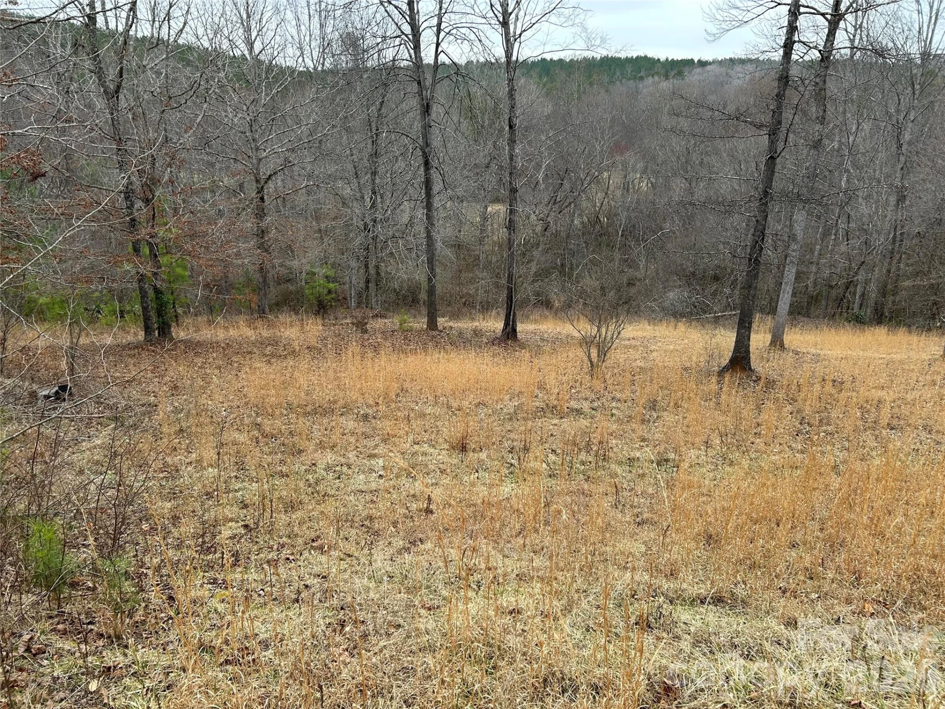 322 Balmy Lane - Photo 2