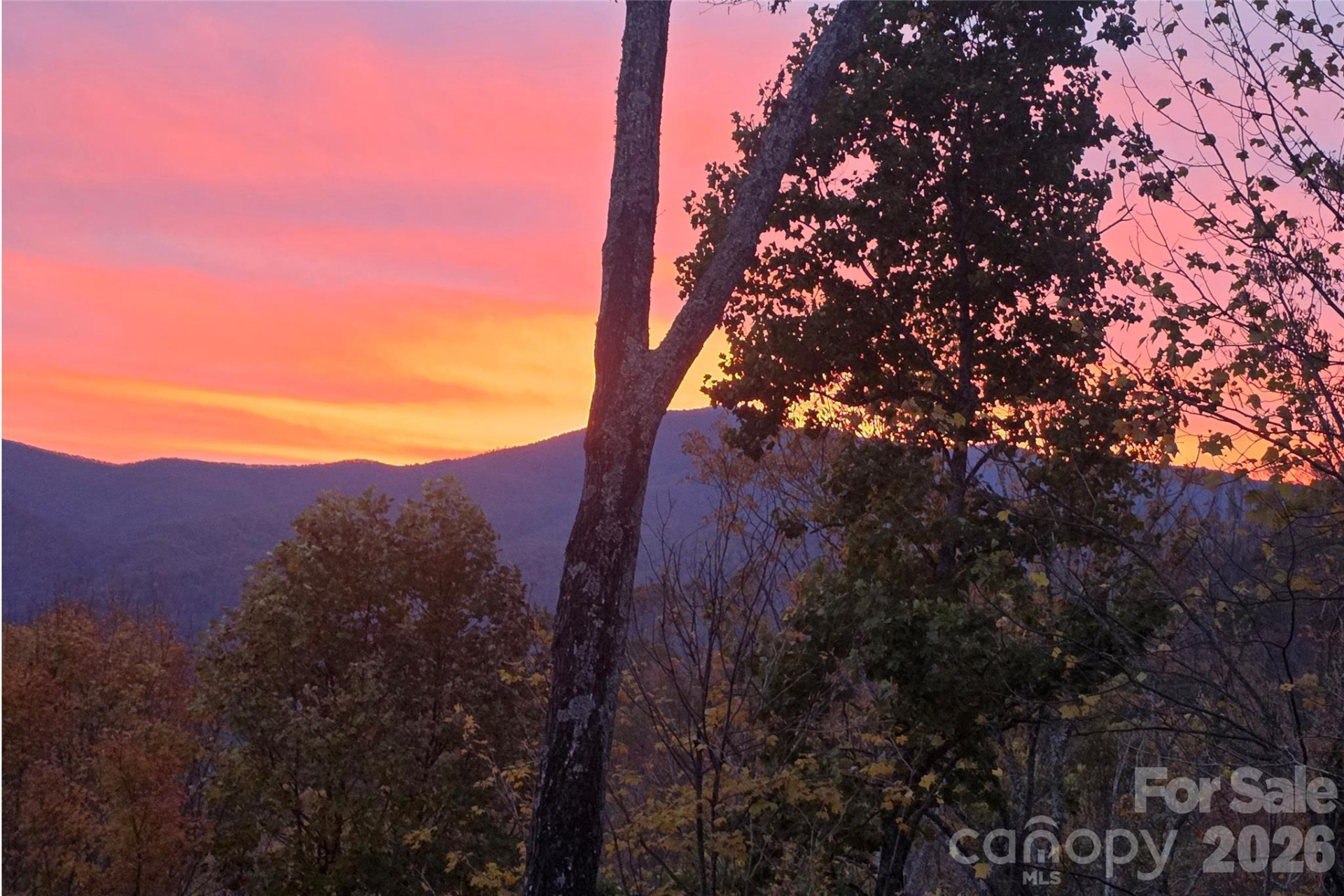 121 Stoney Falls Loop #E4 - Photo 37