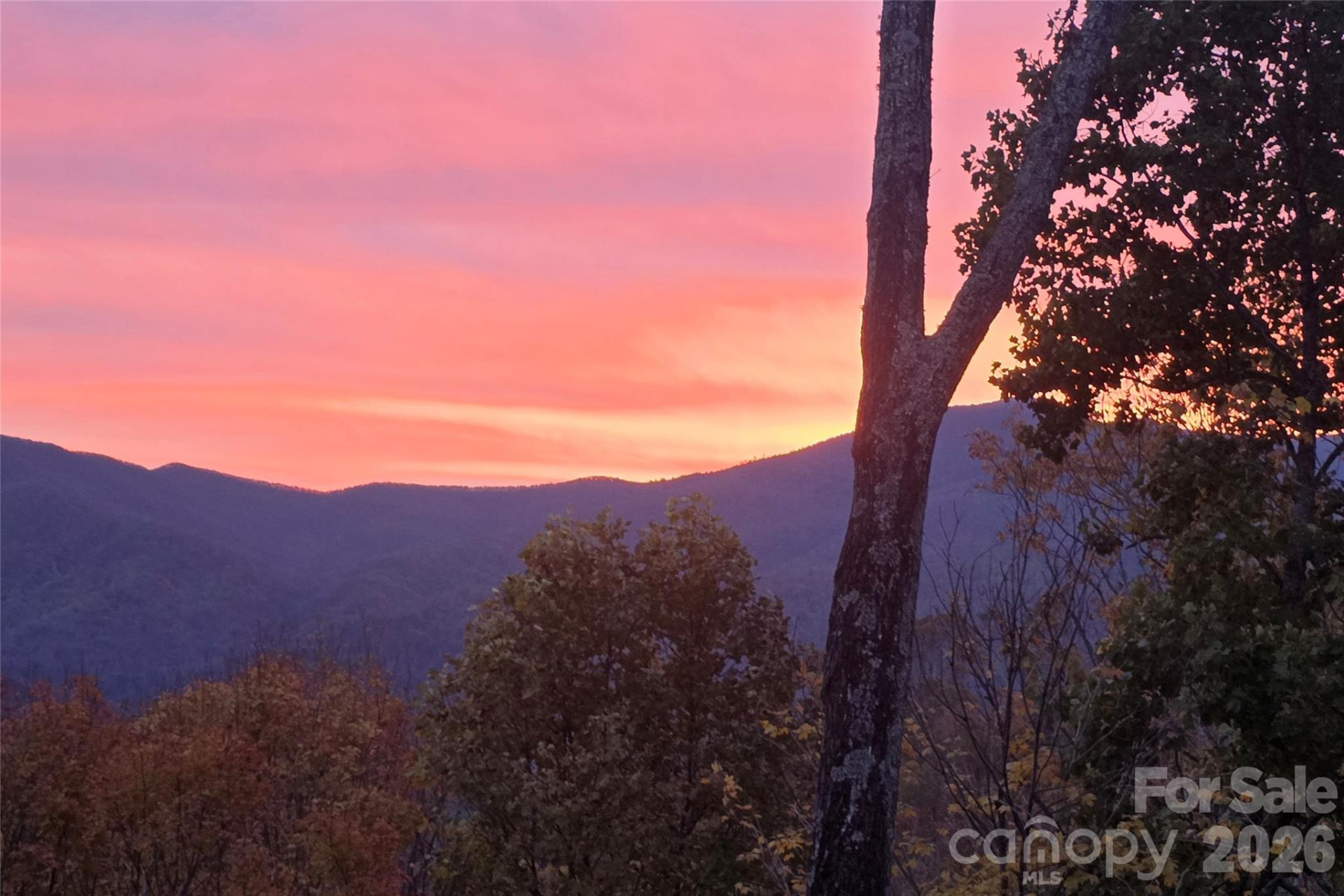 121 Stoney Falls Loop #E4 - Photo 38