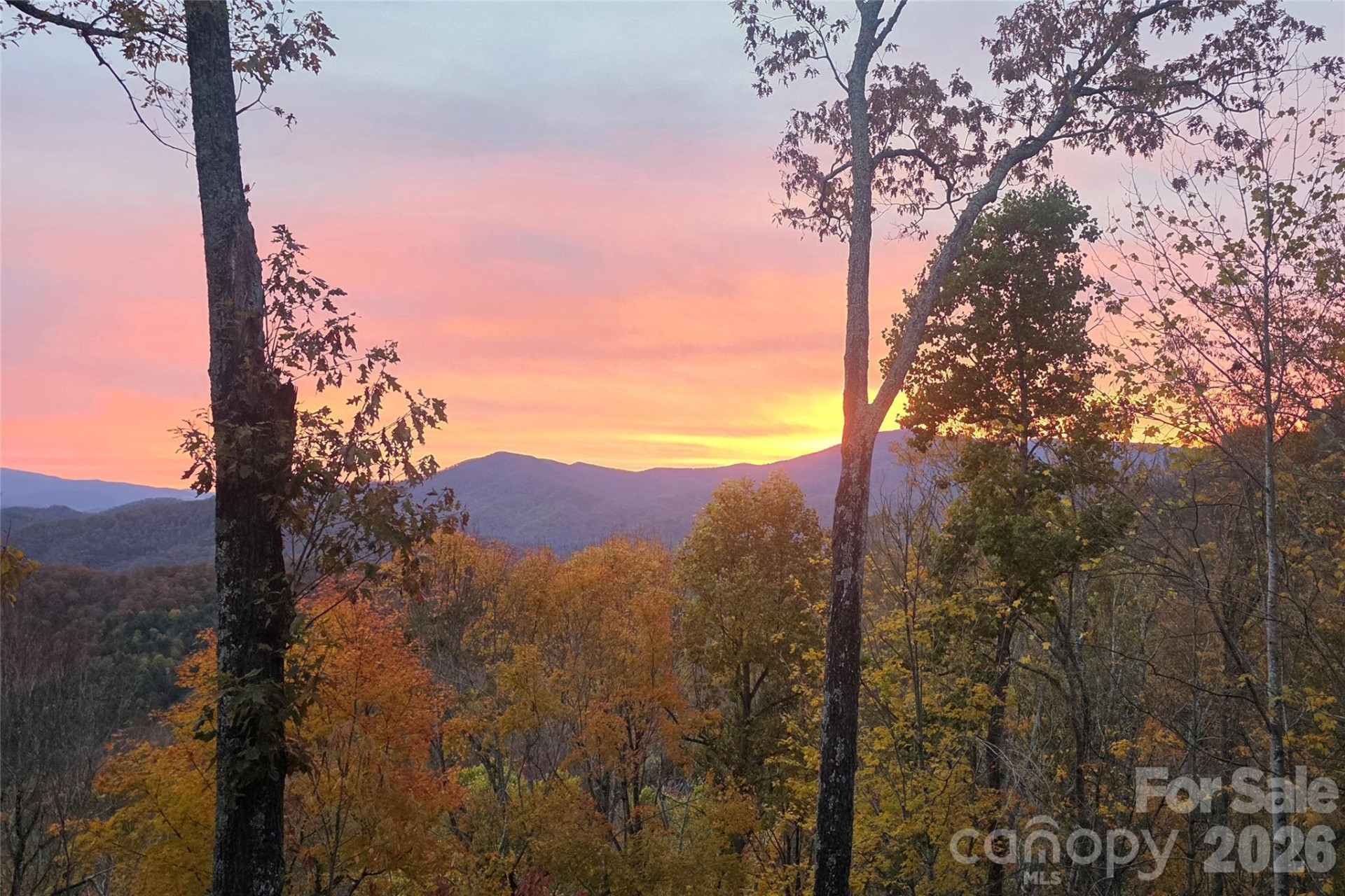 121 Stoney Falls Loop #E4 - Photo 39