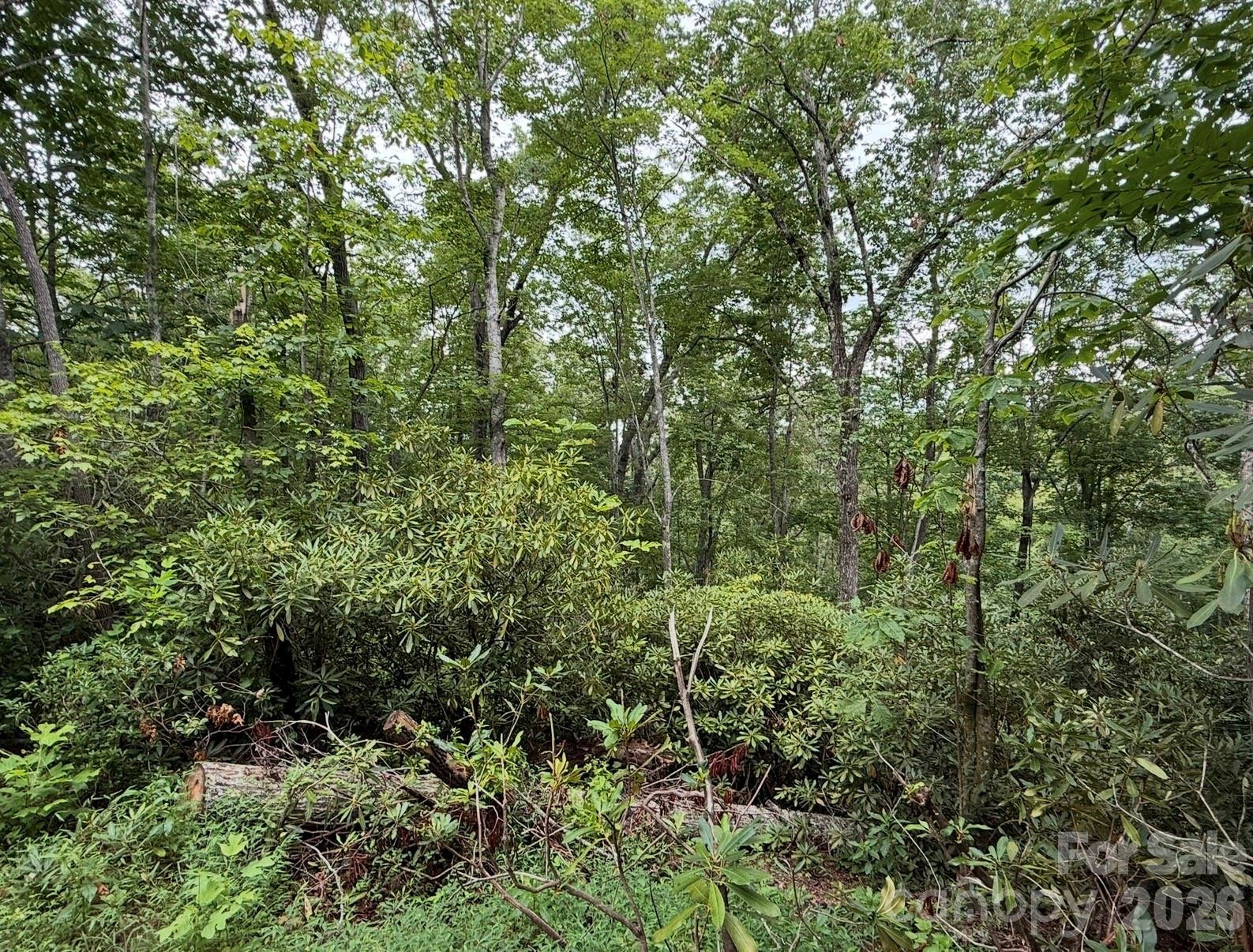 V/L Bat Cave Road - Photo 3