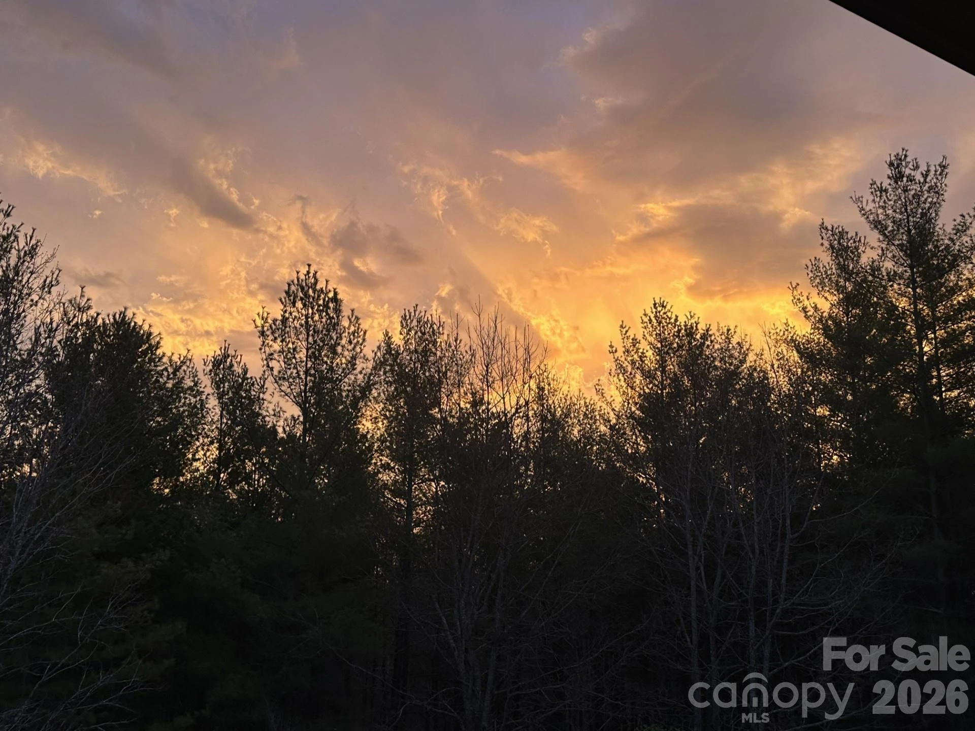 293 Bear Cliff Drive - Photo 47