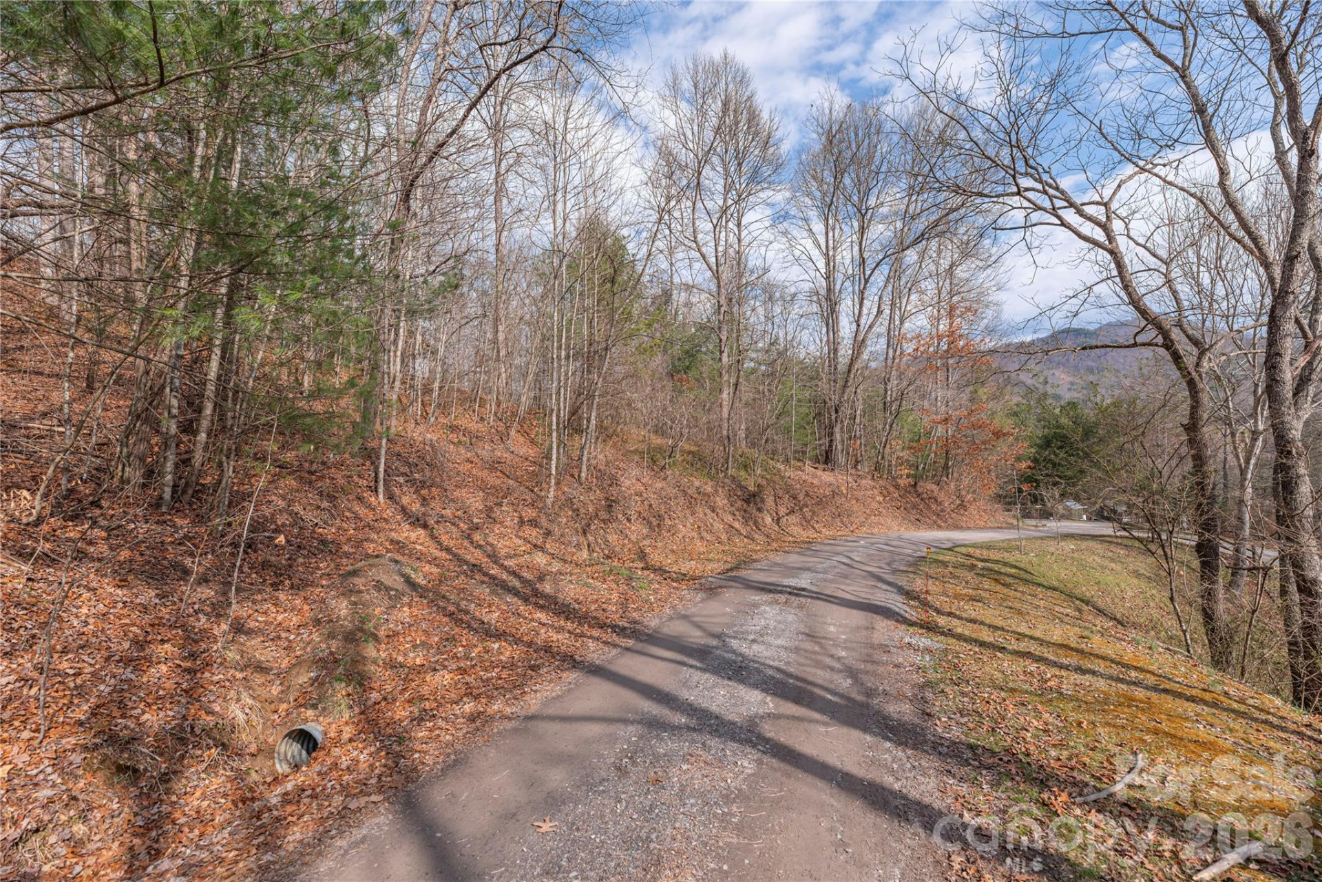 00 Gingham Drive #4 - Photo 2