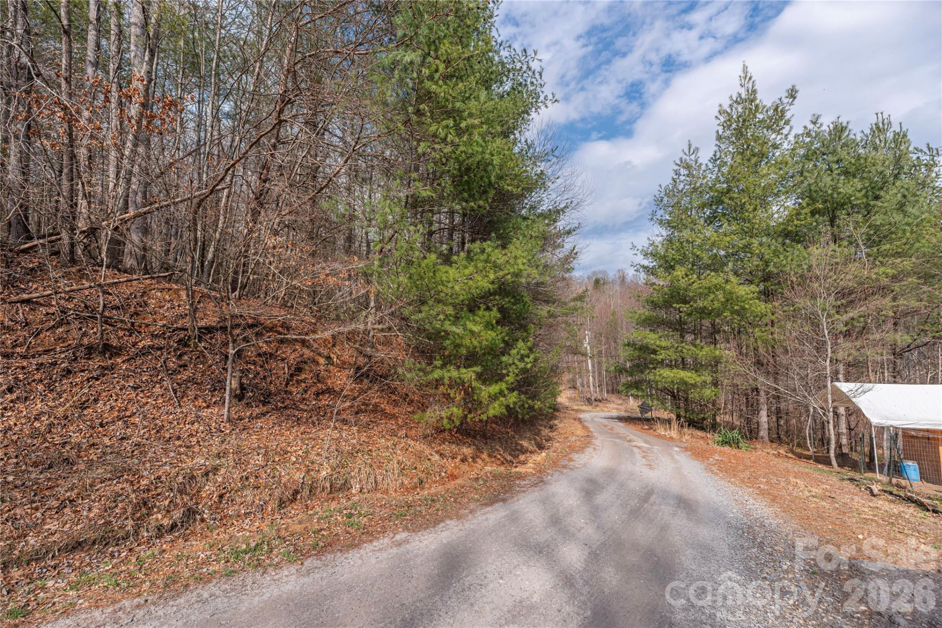 00 Gingham Drive #4 - Photo 5