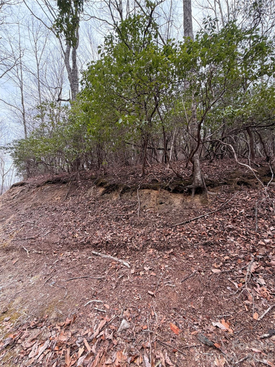 TBD Tsisqua Circle #66/05 - Photo 2