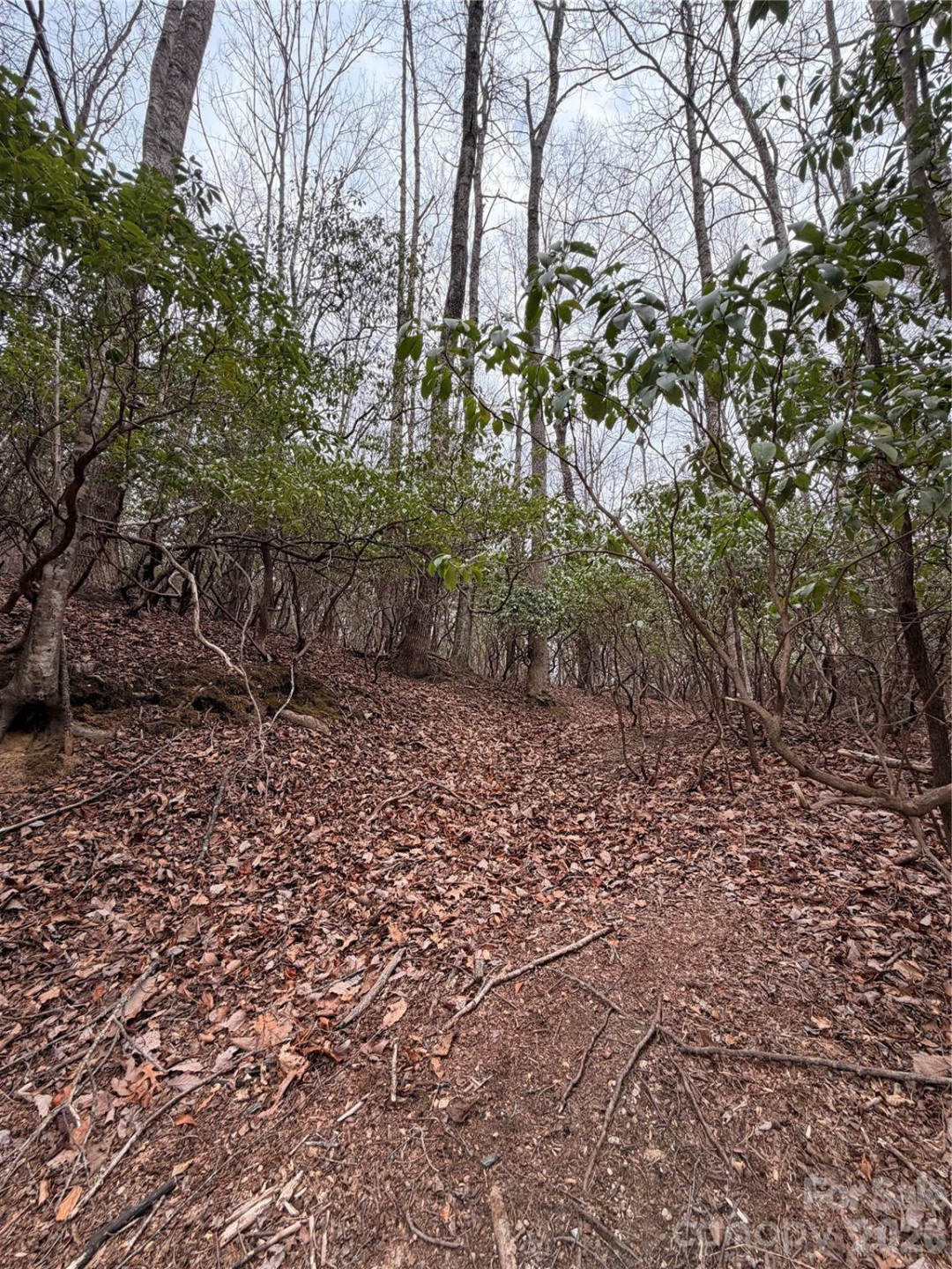TBD Tsisqua Circle #66/05 - Photo 4