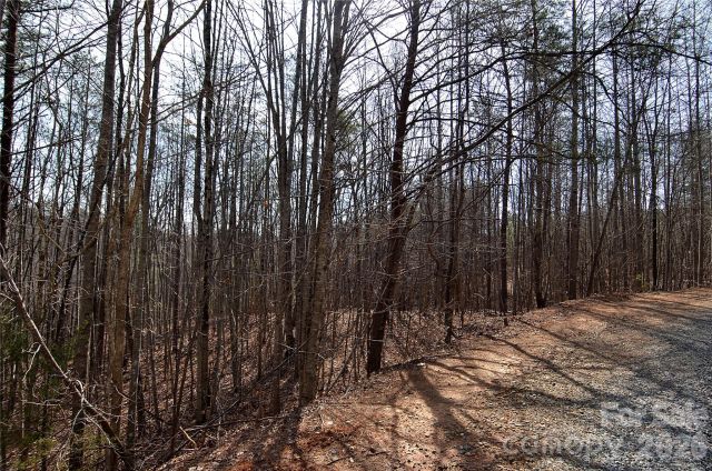 00 Sundance Drive, Nebo, NC, 28761