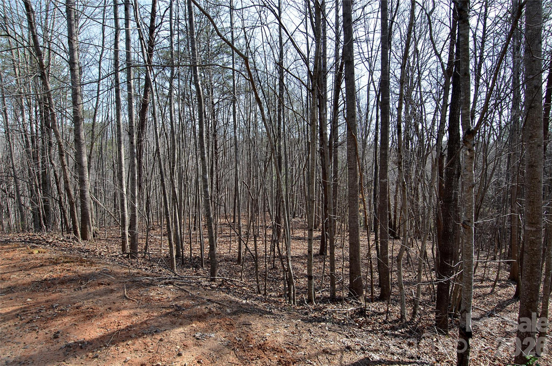 00 Sundance Drive #3-IV - Photo 2