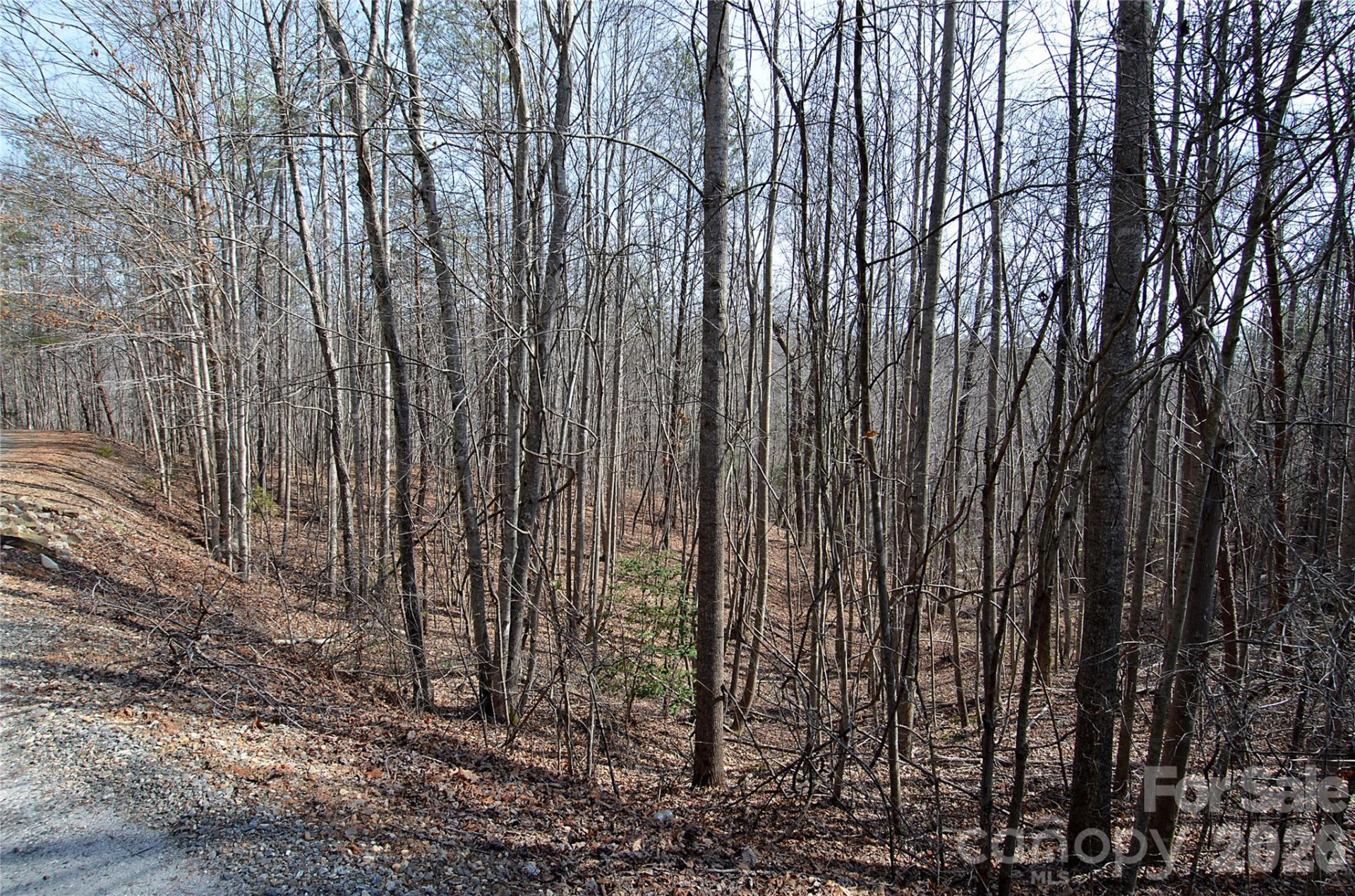 00 Sundance Drive #3-IV - Photo 3