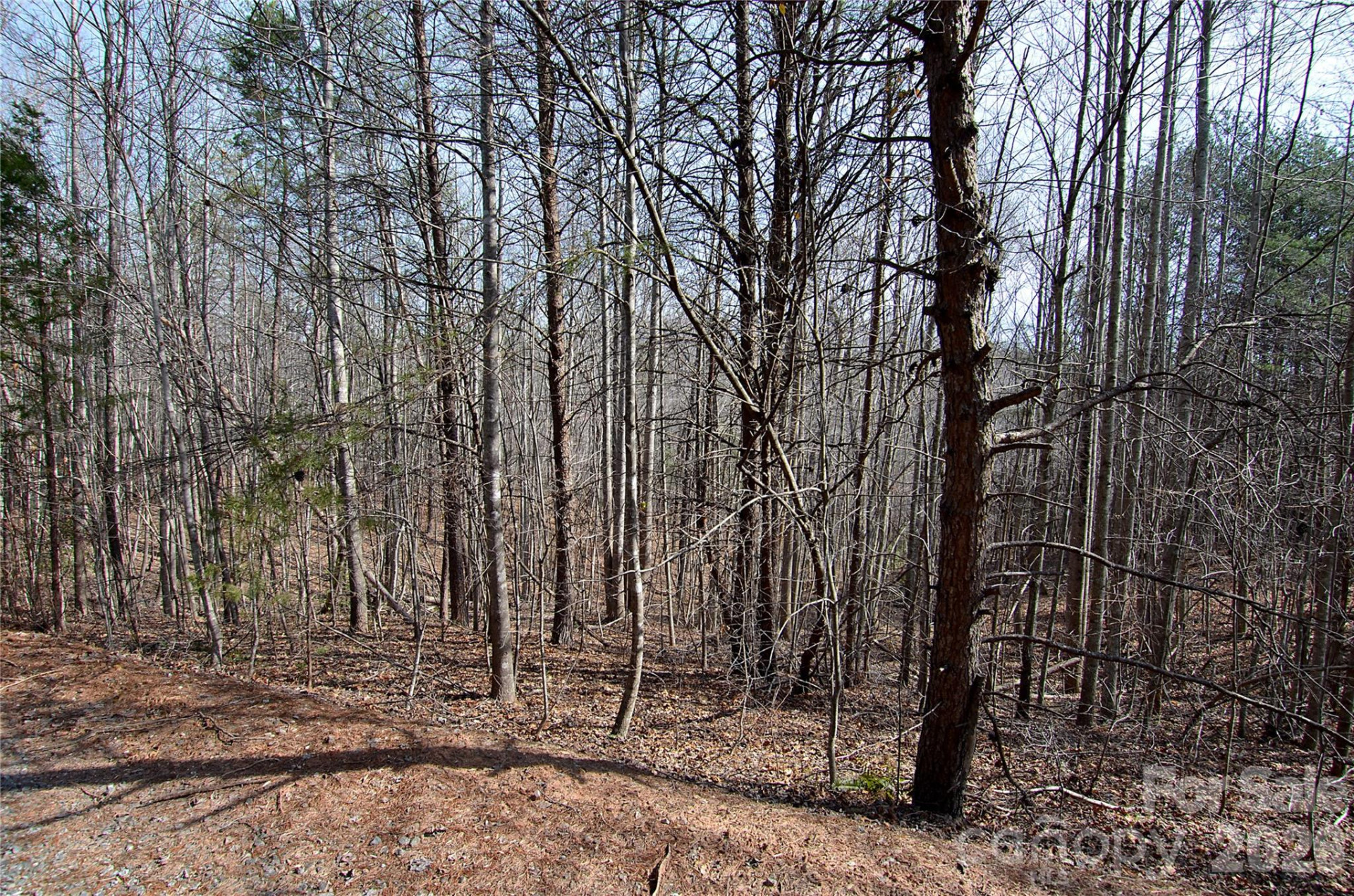 00 Sundance Drive #3-IV - Photo 4