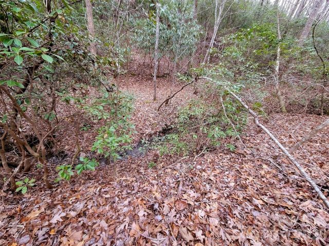 0 Birddog Boulevard, Lake Lure, NC, 28746