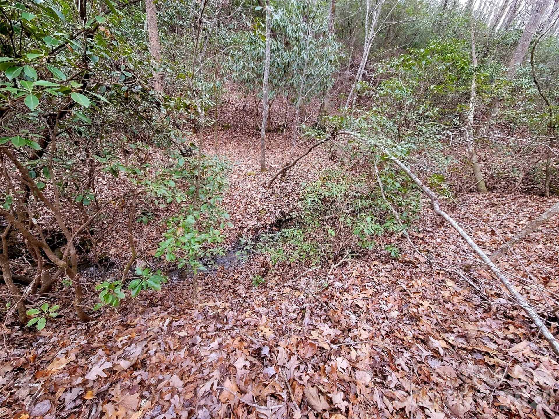 0 Birddog Boulevard #328