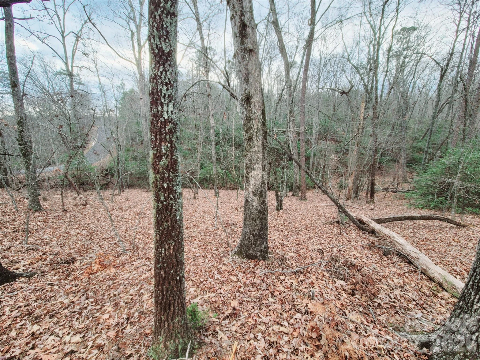0 Birddog Boulevard #328 - Photo 2