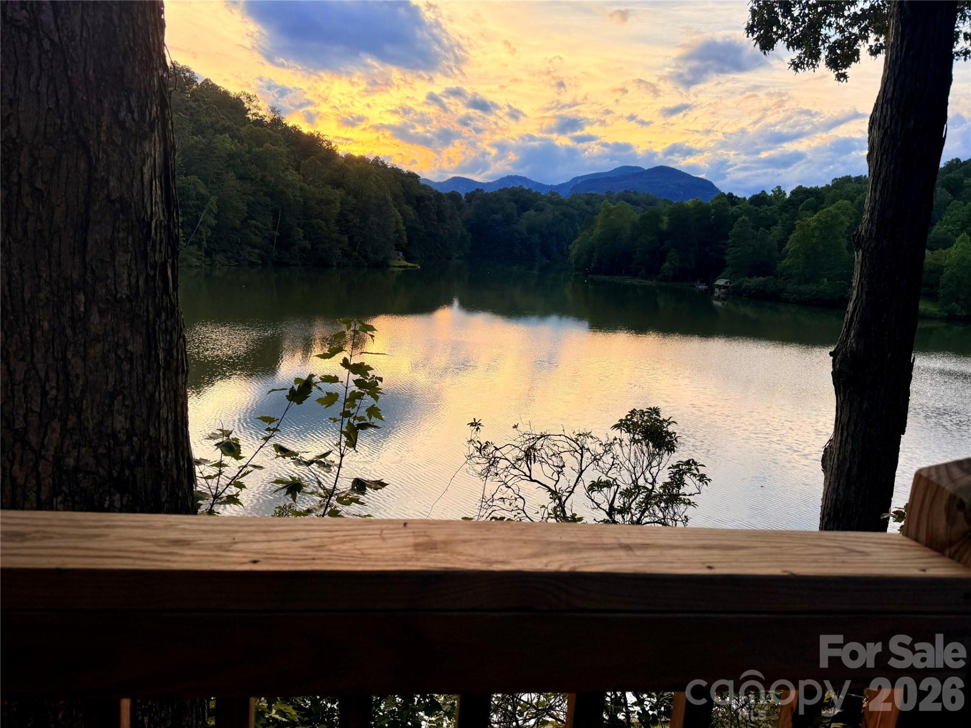 0 Birddog Boulevard #328 - Photo 11