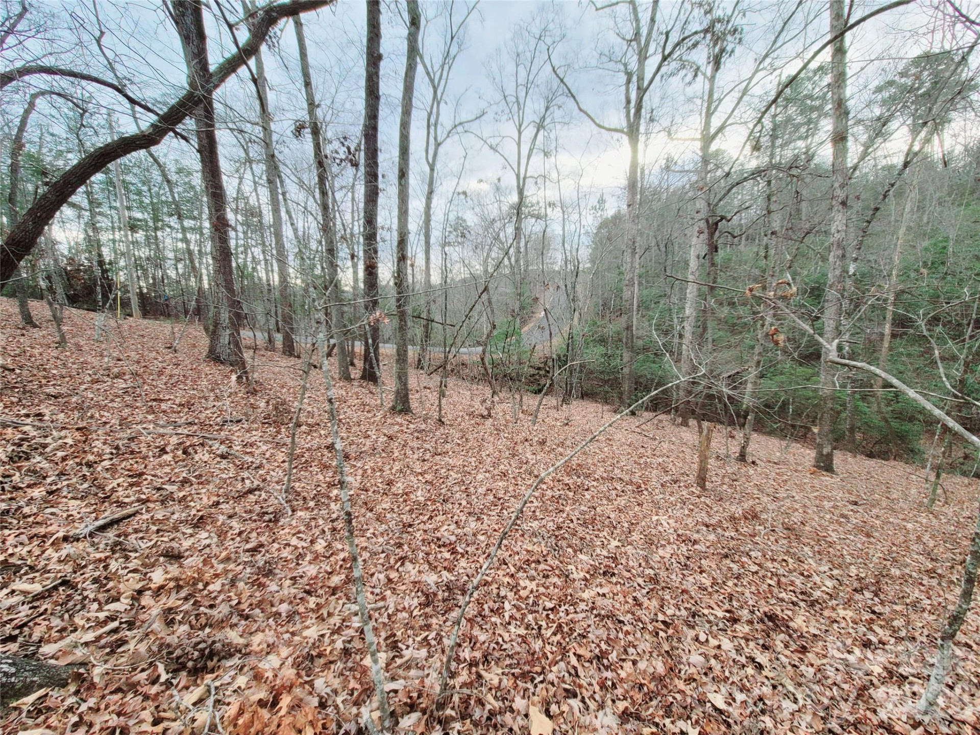 0 Birddog Boulevard #328 - Photo 12