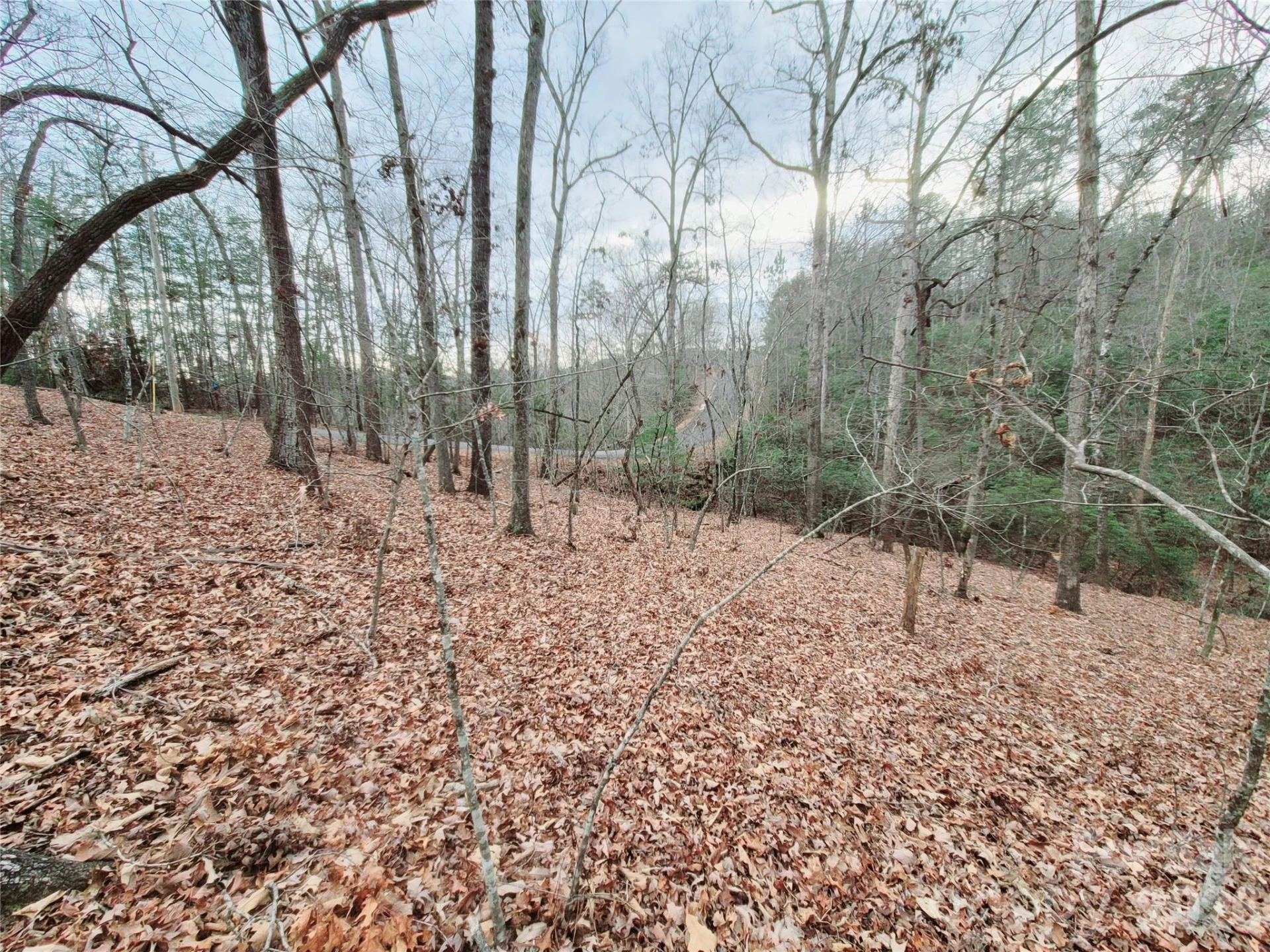 0 Birddog Boulevard #328 - Photo 12