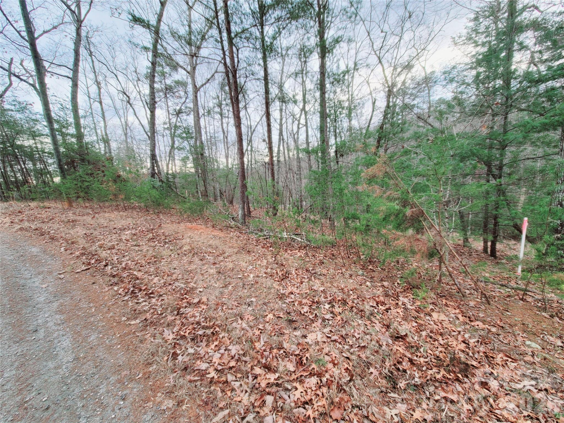 0 Birddog Boulevard #328 - Photo 15