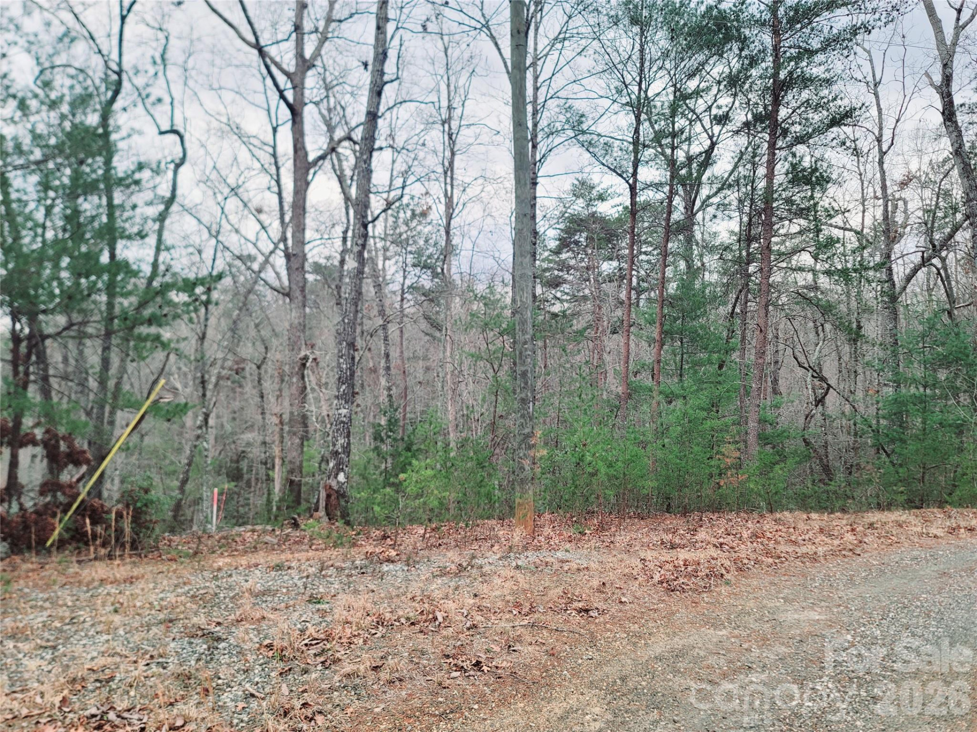 0 Birddog Boulevard #328 - Photo 16