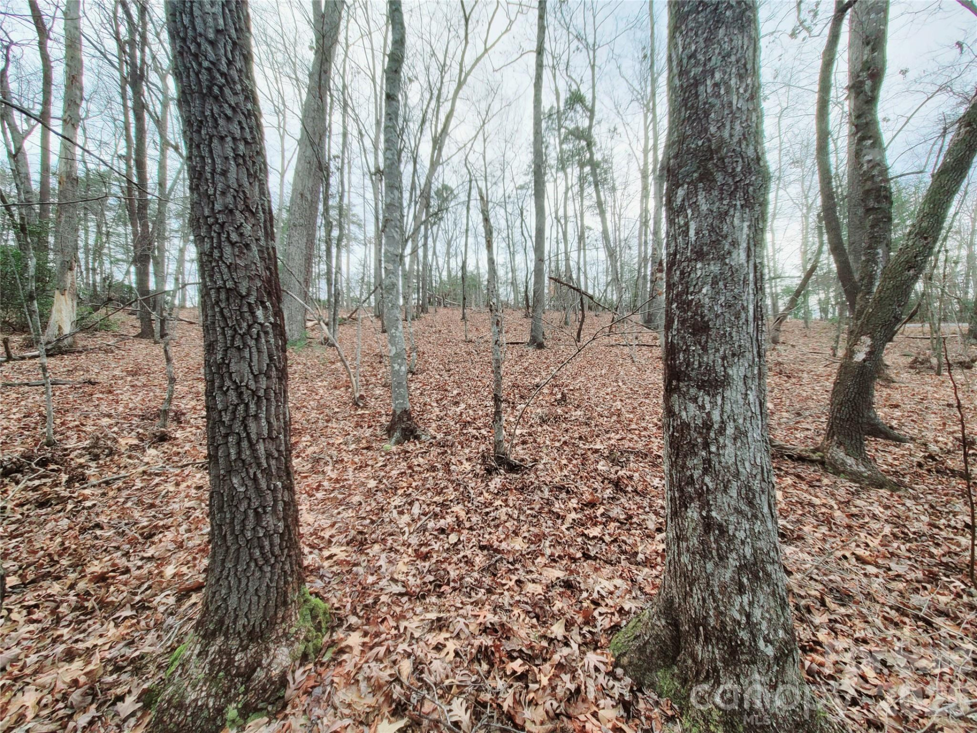 0 Birddog Boulevard #328 - Photo 17