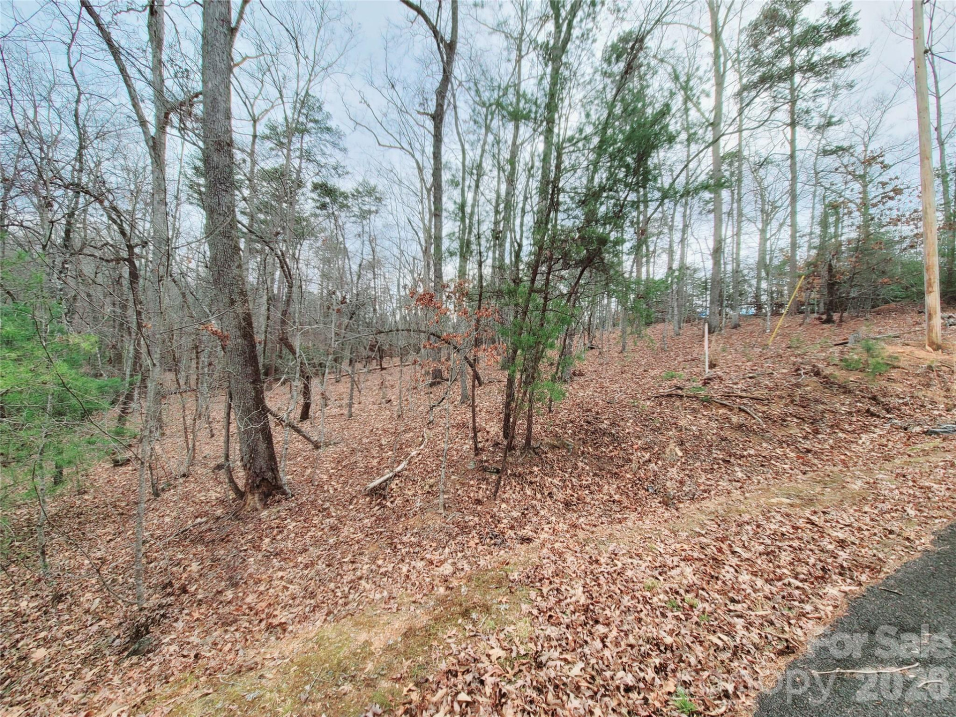 0 Birddog Boulevard #328 - Photo 18