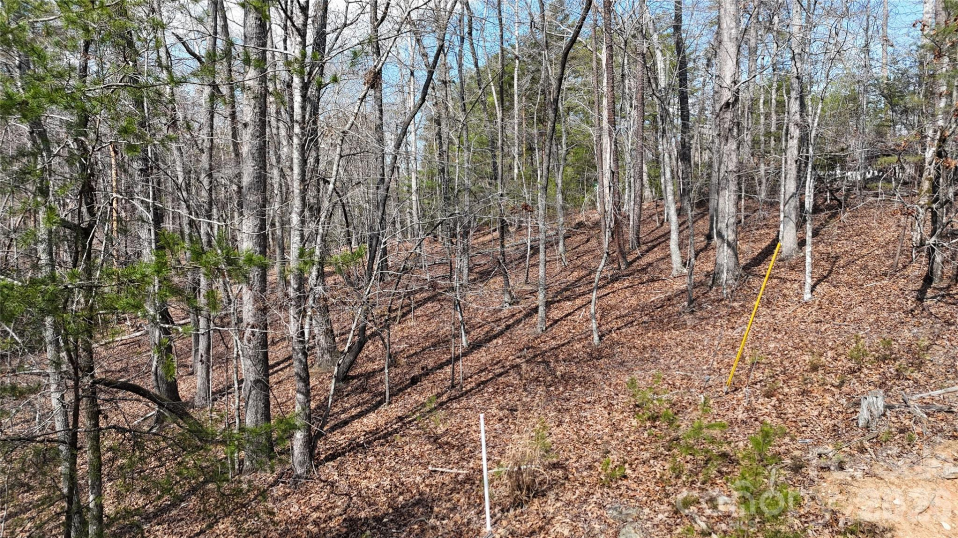 0 Birddog Boulevard #328 - Photo 19