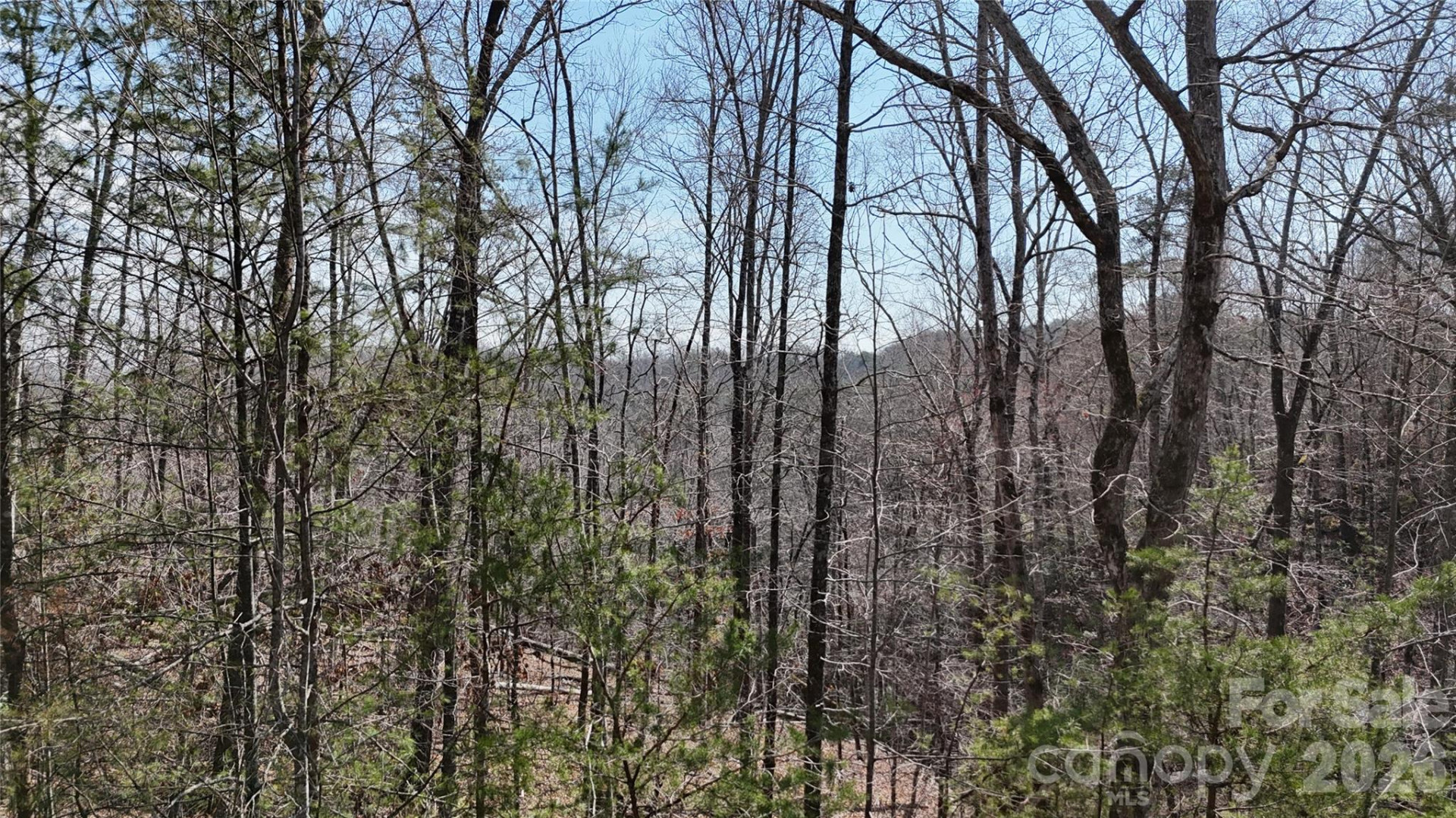 0 Birddog Boulevard #328 - Photo 20