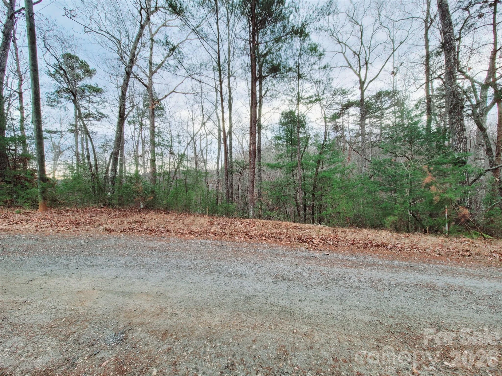 0 Birddog Boulevard #328 - Photo 7