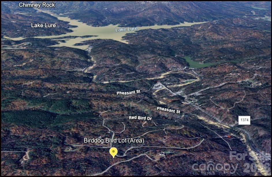 0 Birddog Boulevard #328 - Photo 8