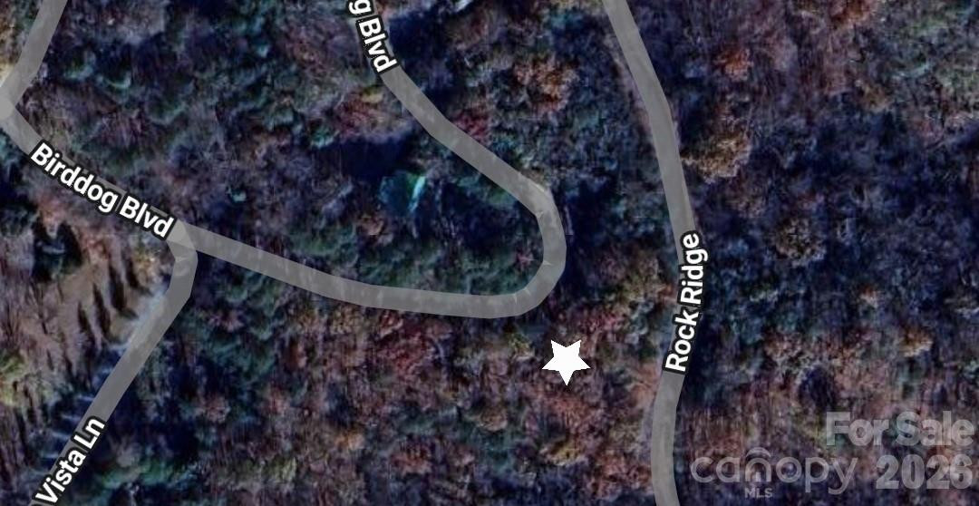 0 Birddog Boulevard #328 - Photo 9